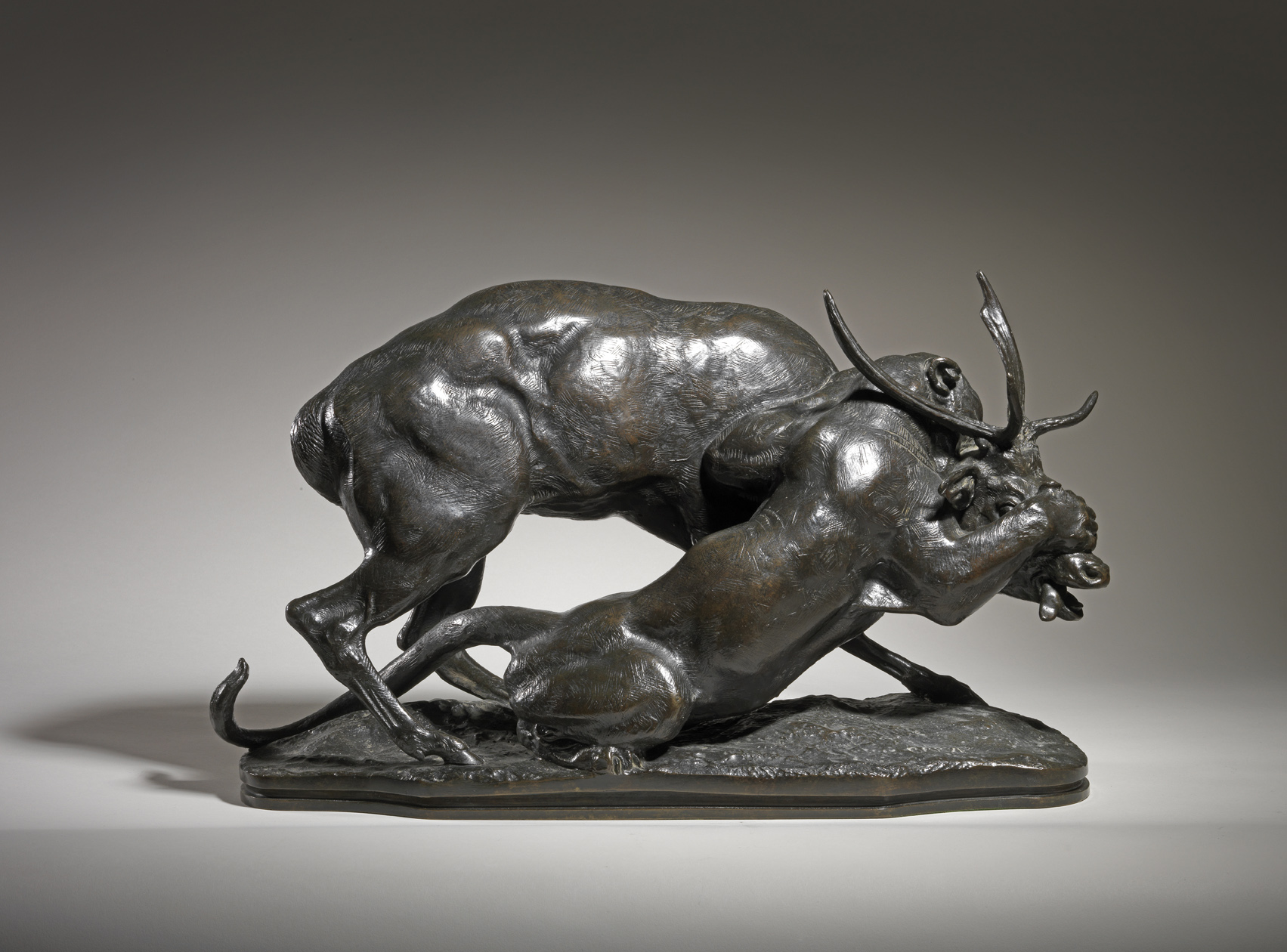 Panther seizing a Stag, c. 1857