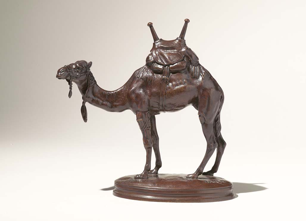 Saddled Camel c.1870