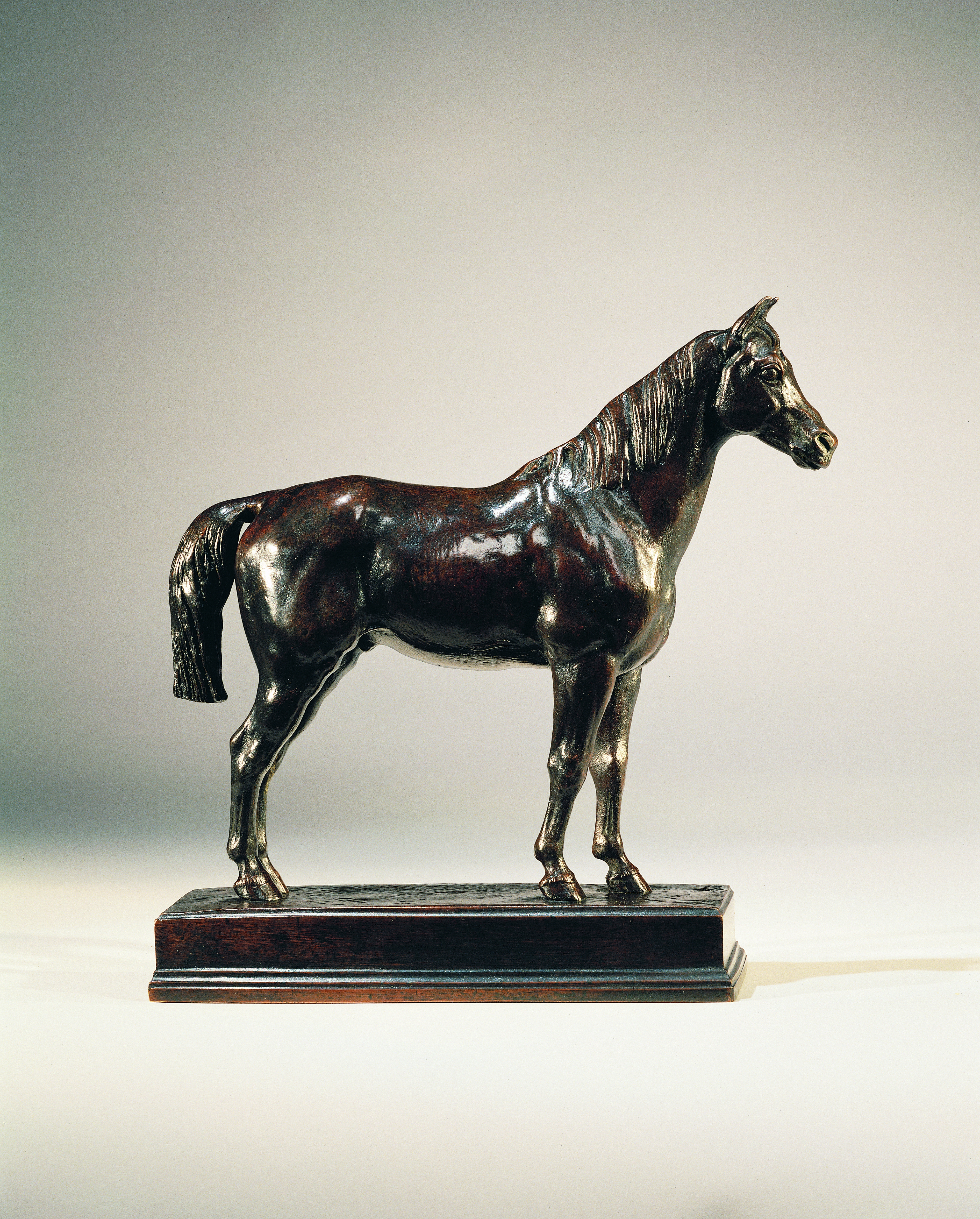 Arab Stallion, c.1838
