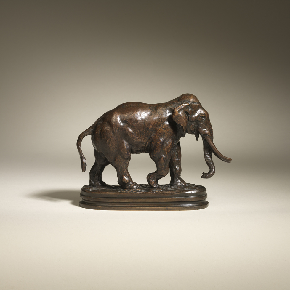 Asian Elephant, c.1857