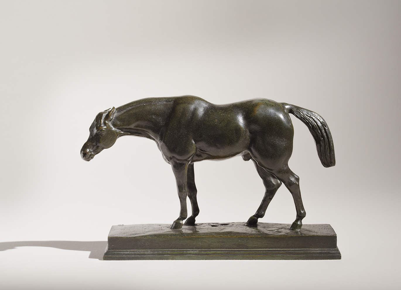 Half-Blood Horse, Head Down, c. 1838