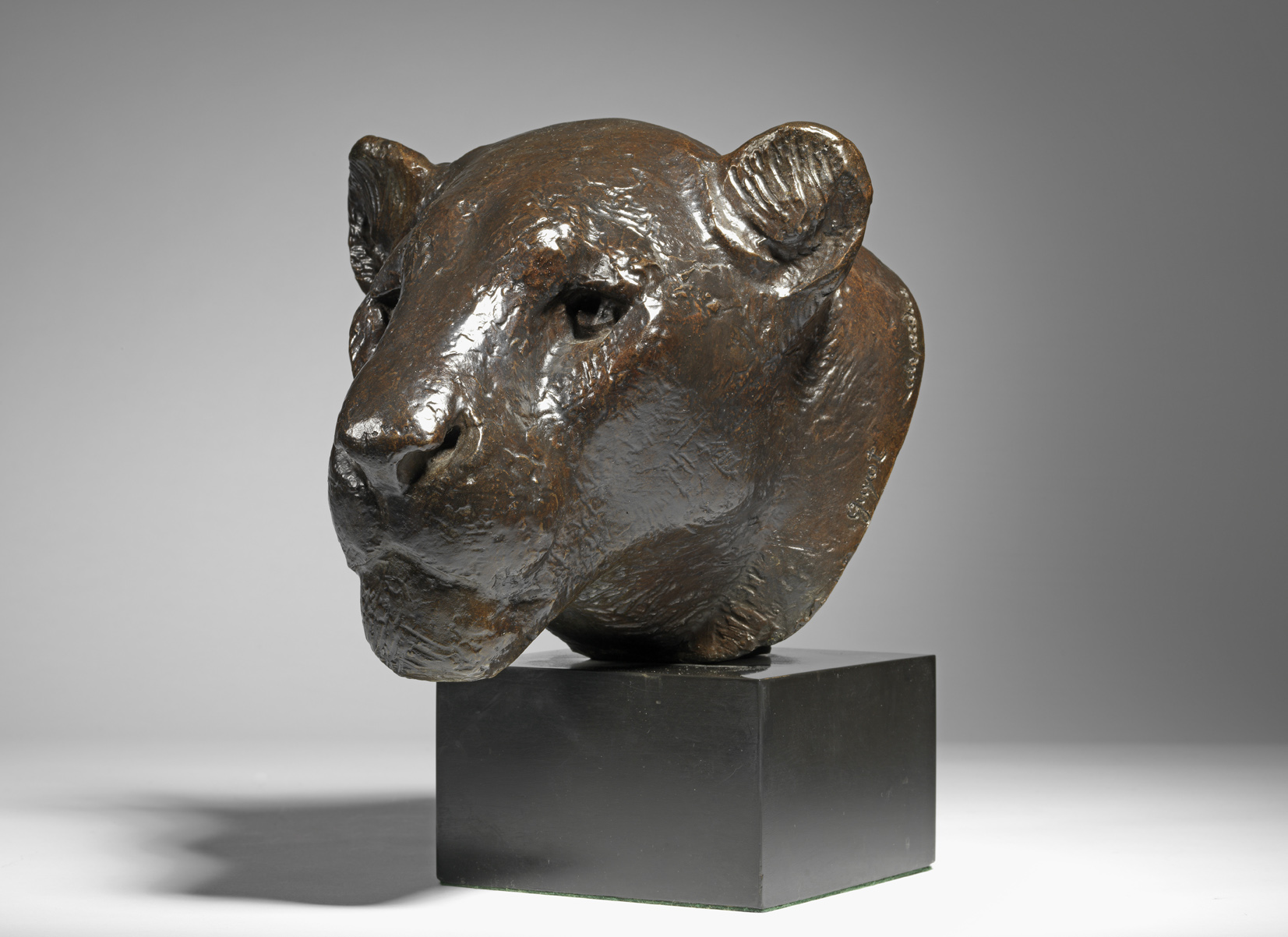 Bust of a Panther, c. 1920