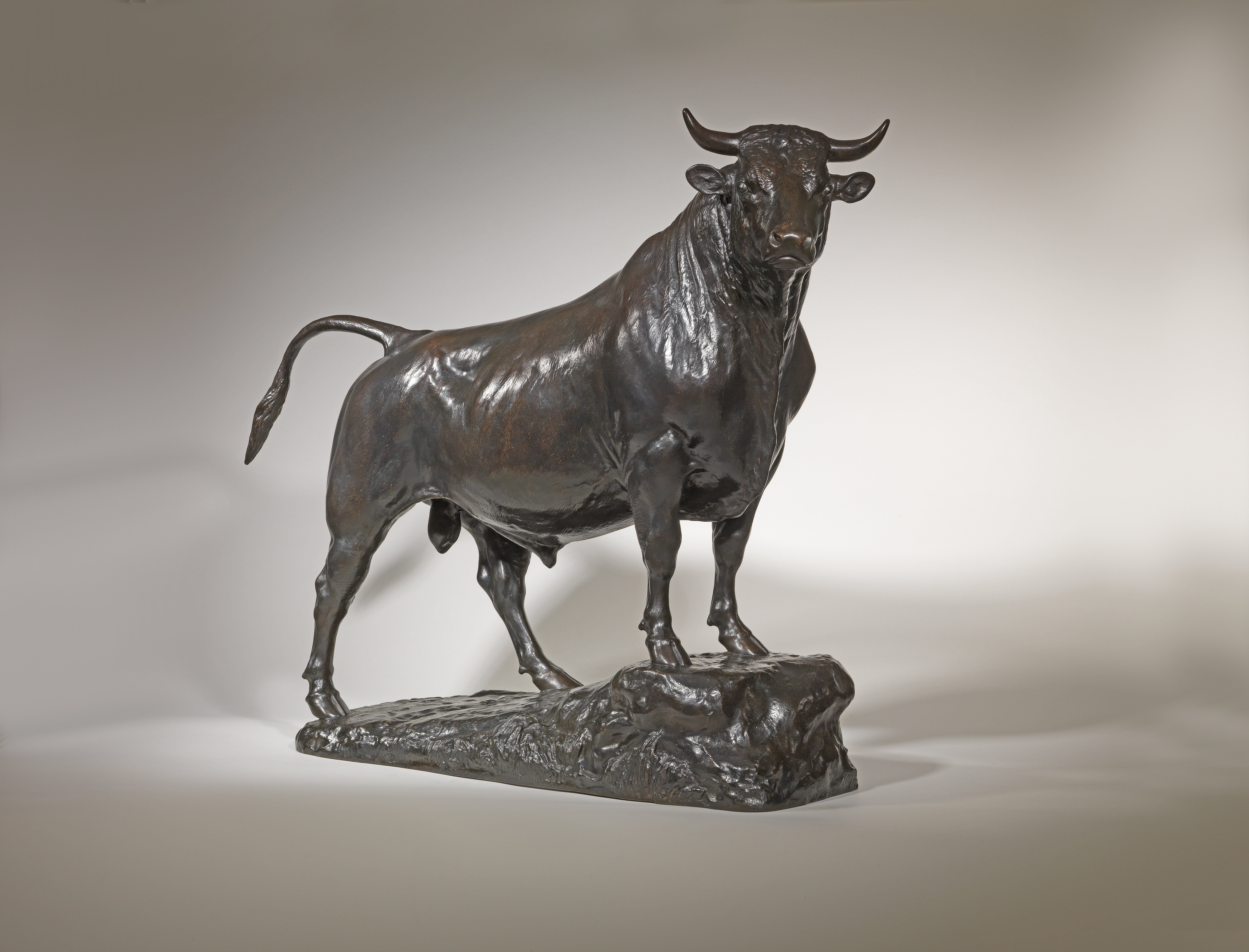 Standing Bull, Large, c. 1865