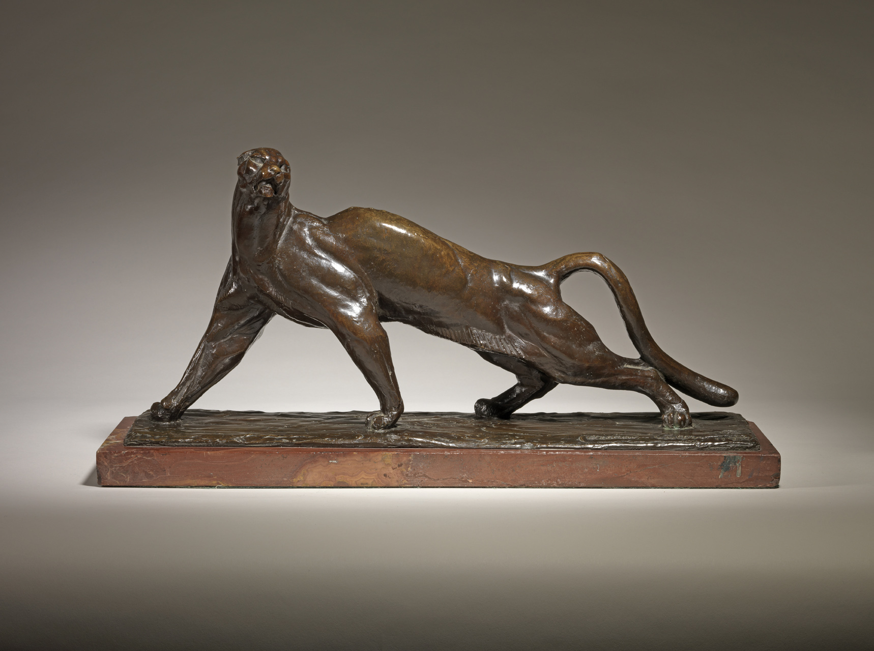 Stretching Leopard, c. 1922