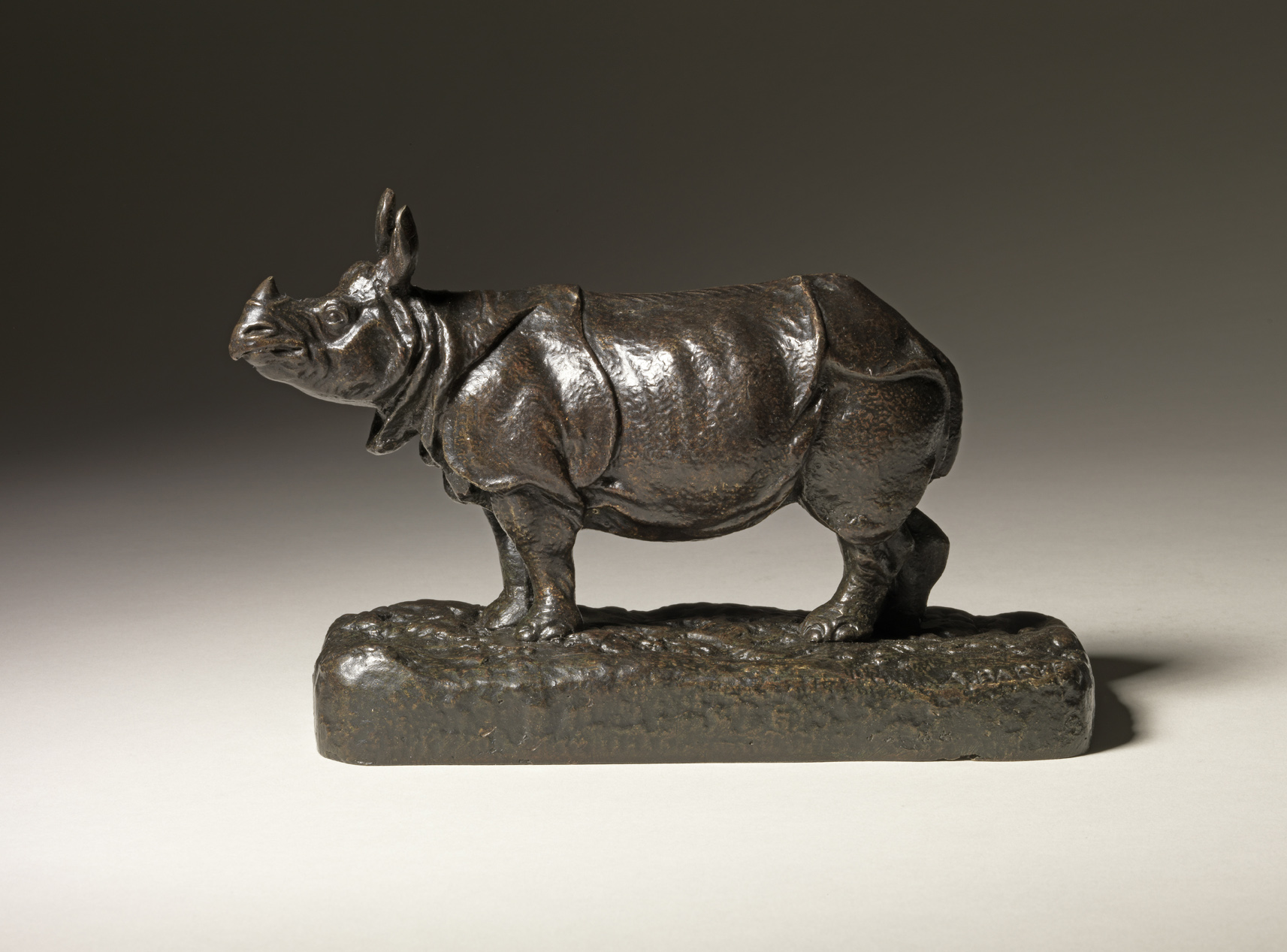 Rhino, c. 1865