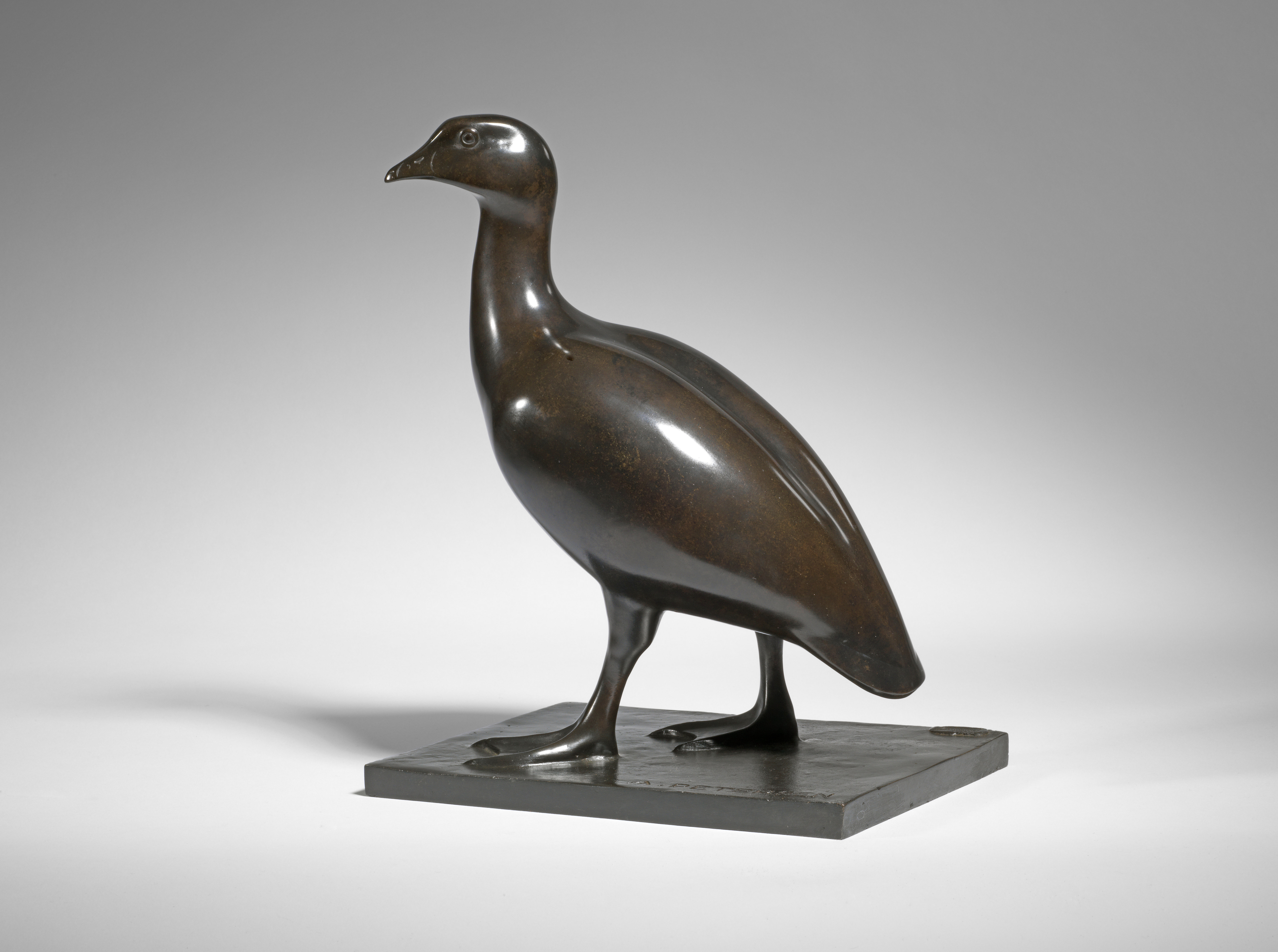 Magellan Goose, c. 1930