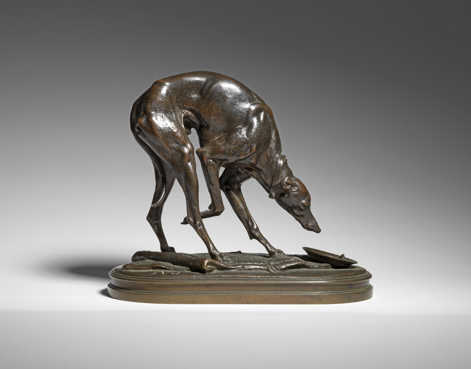 Whippet drinking from a Bowl, c. 1880