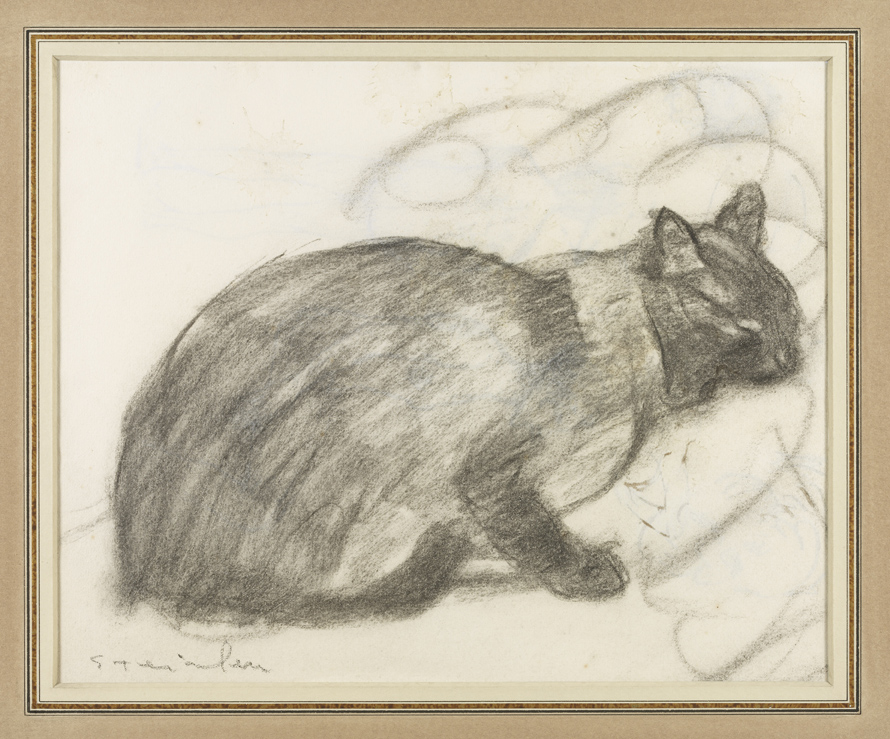 Siamese Cat Asleep, Drawing, c. 1900