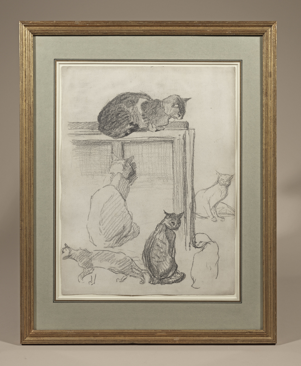 A Drawing of Studies of cats, 1905