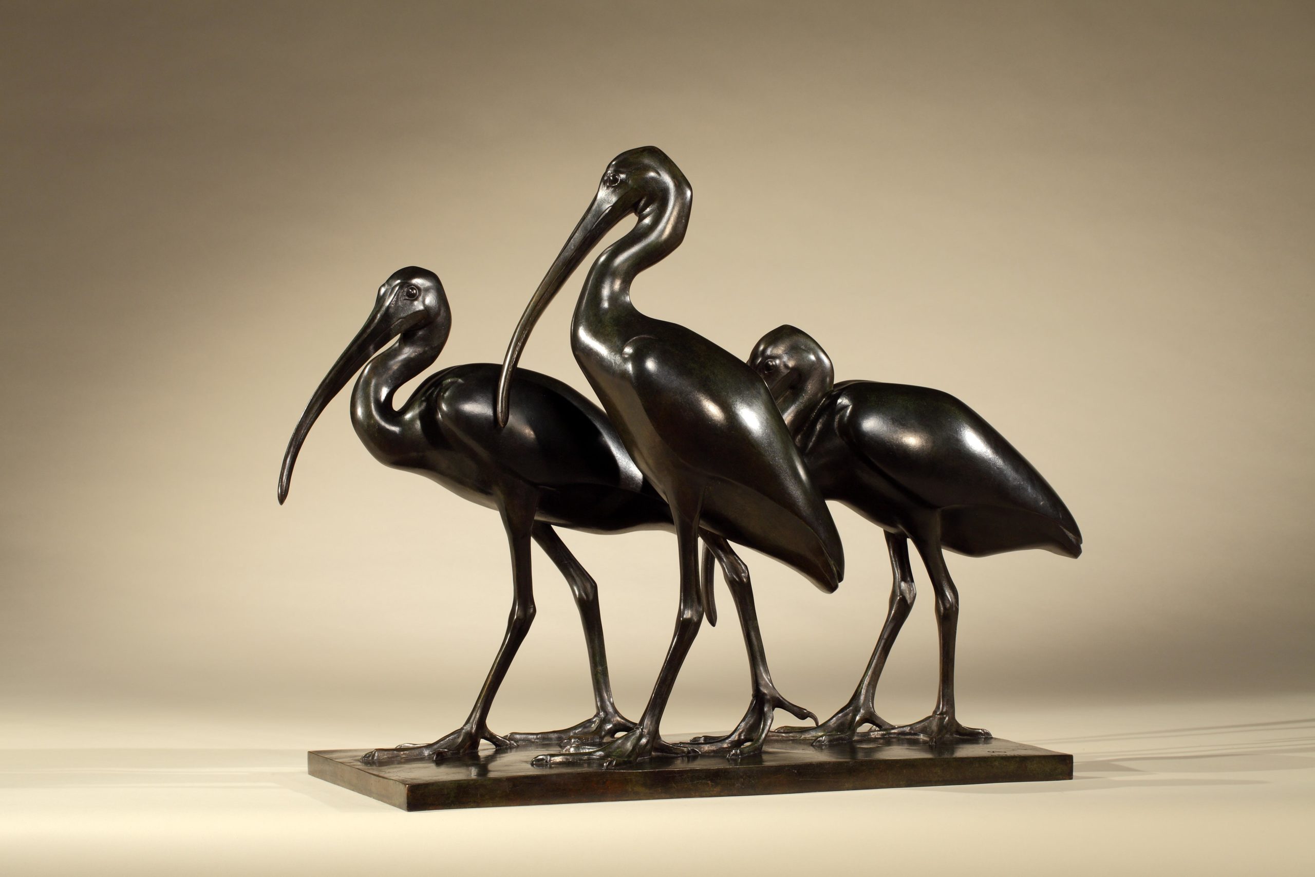 Ibis of the Nile, c. 1925