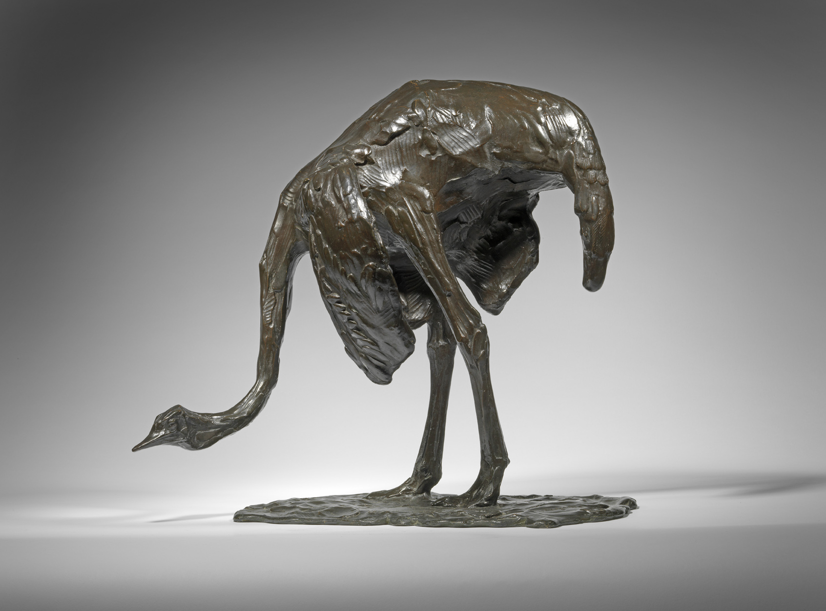 Ostrich with Head Down, 1909-10
