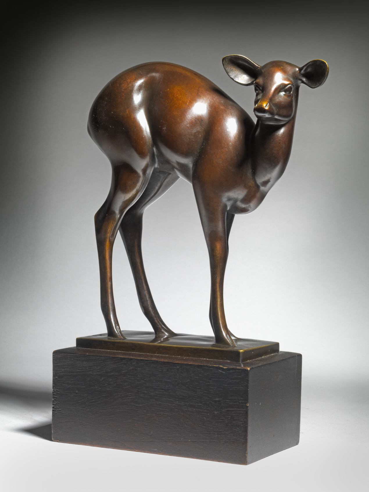 Antelope, c. 1928-1934