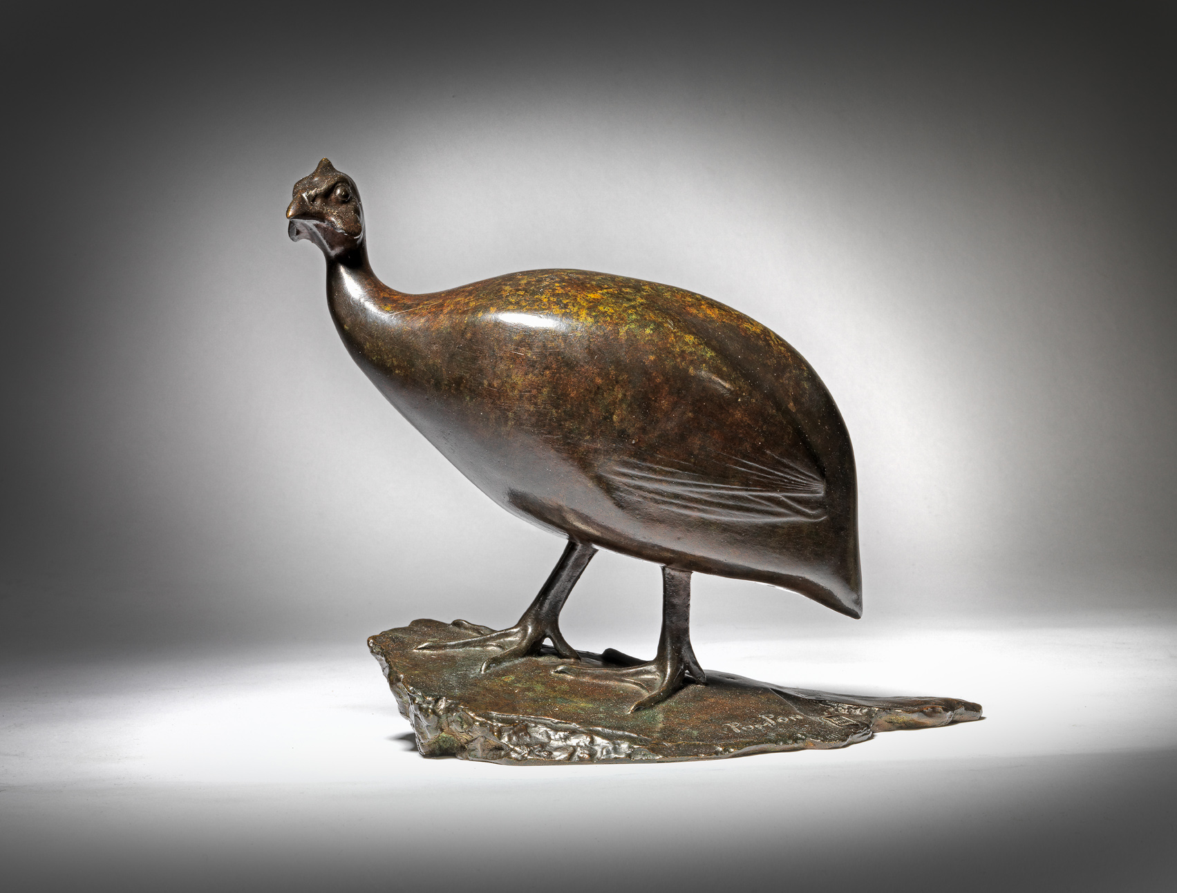 Guinea Fowl, 1910-1911
