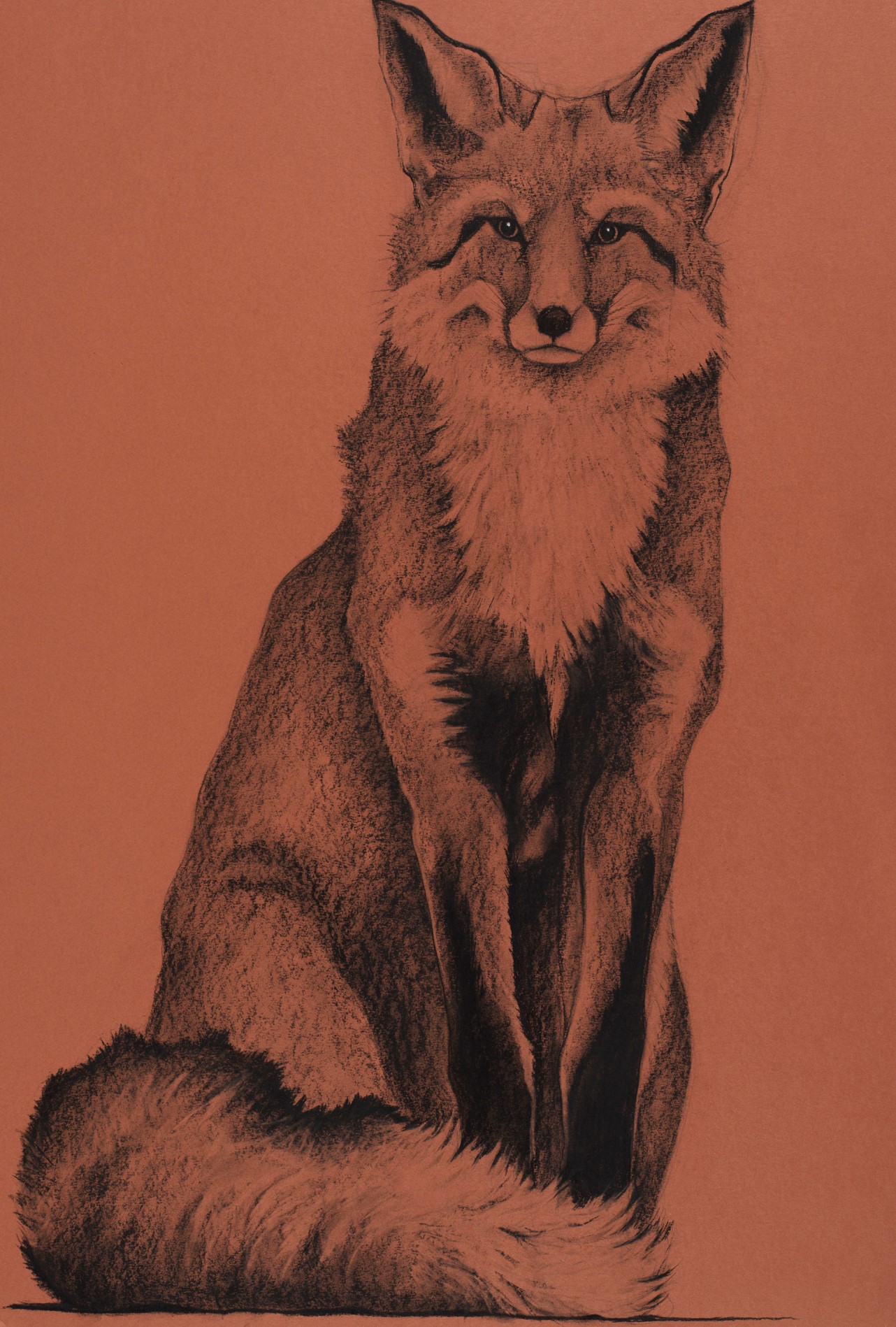 Fox on Red