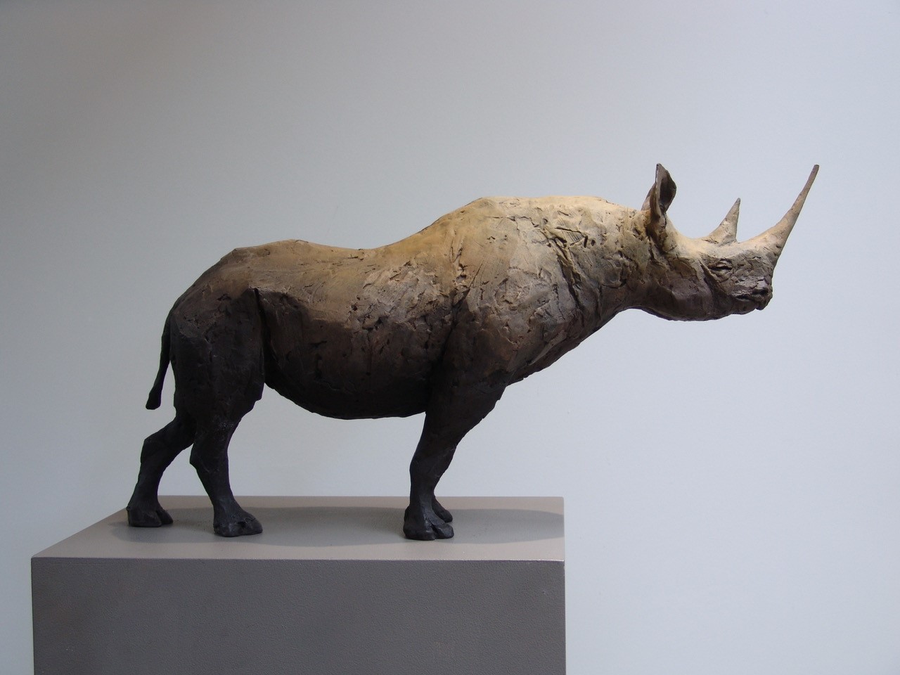 Still Rhino