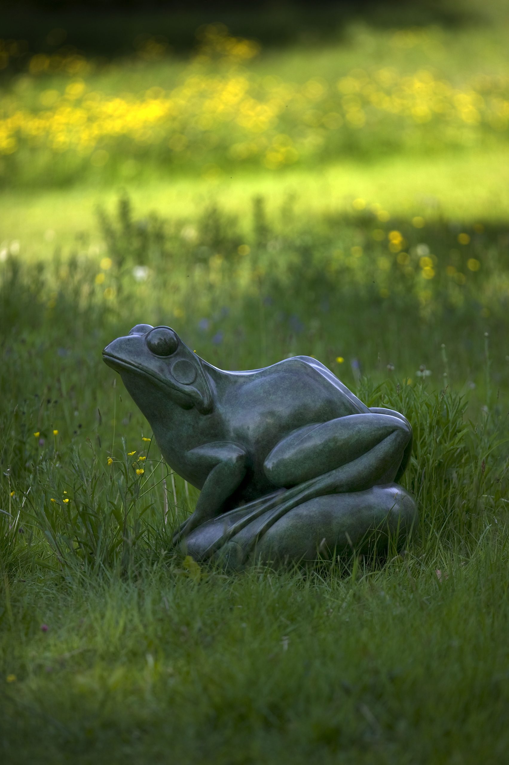 Frog, Monumental