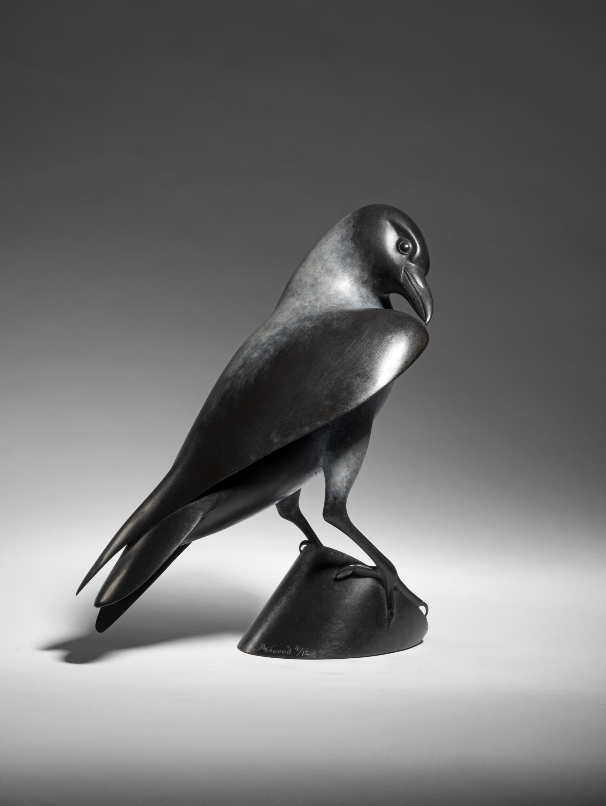 Hooded Crow, 2021