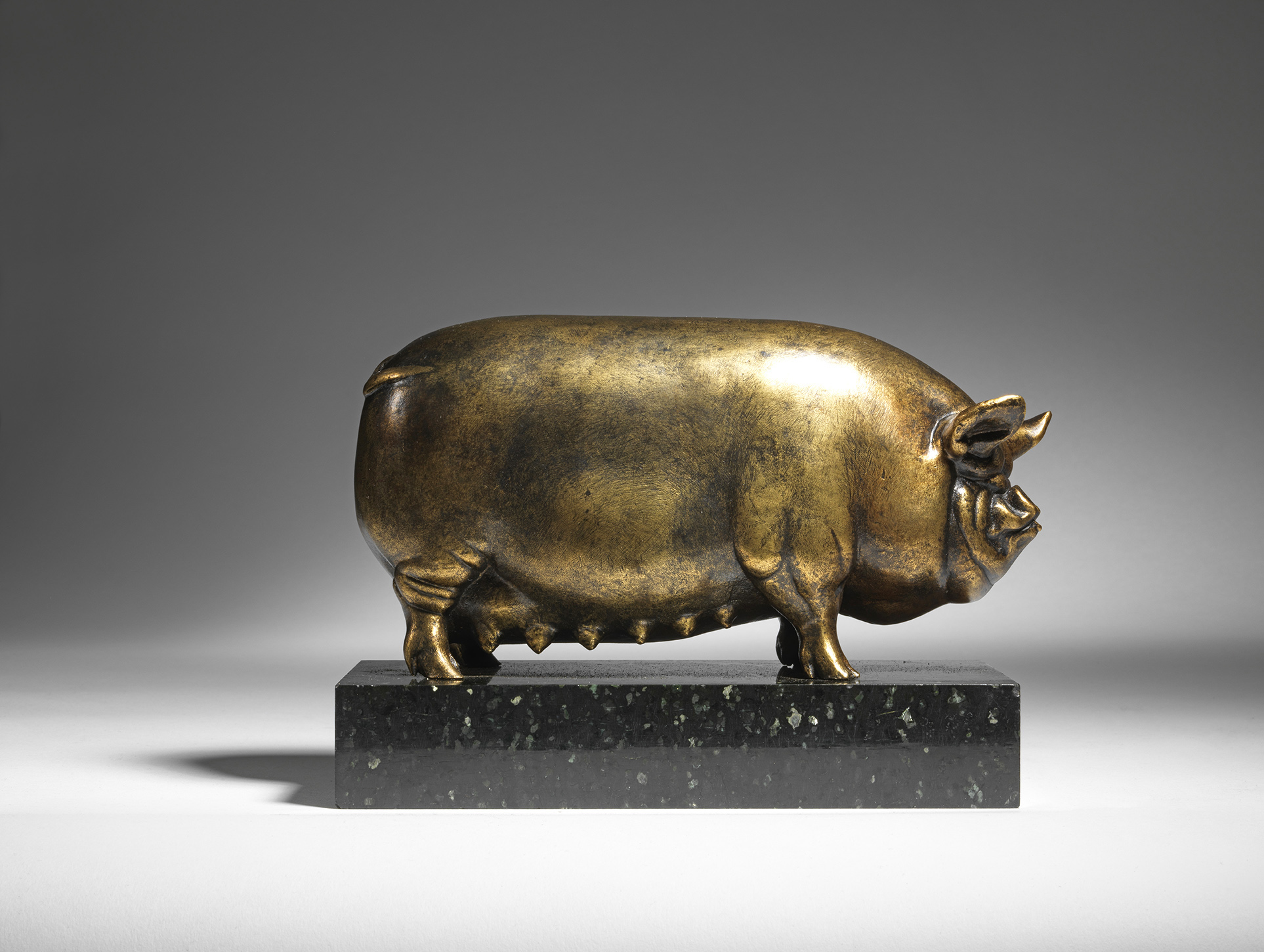 Middle White Sow, 1921-1924