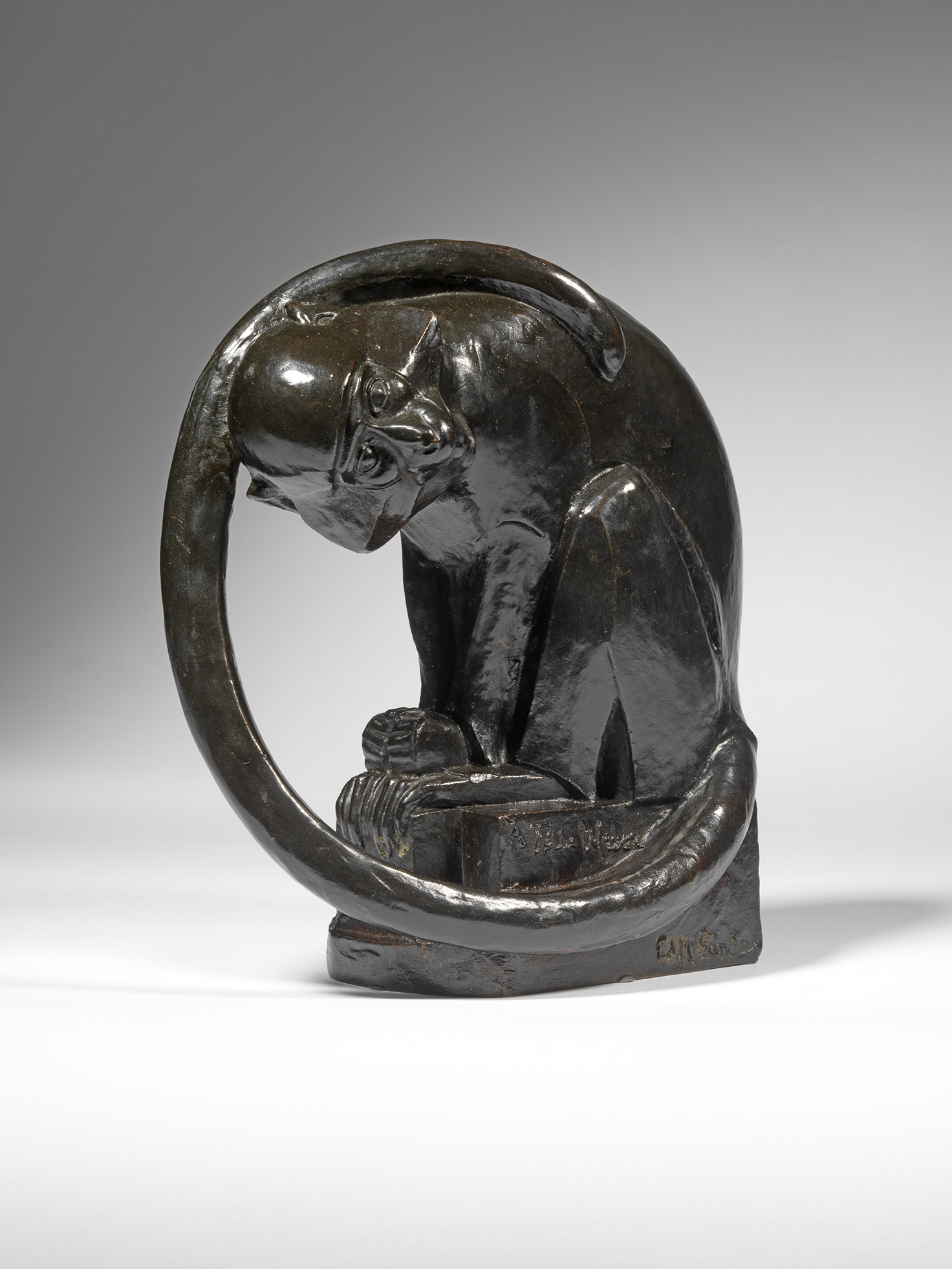 Monkey Curled up in its Tail, 1922