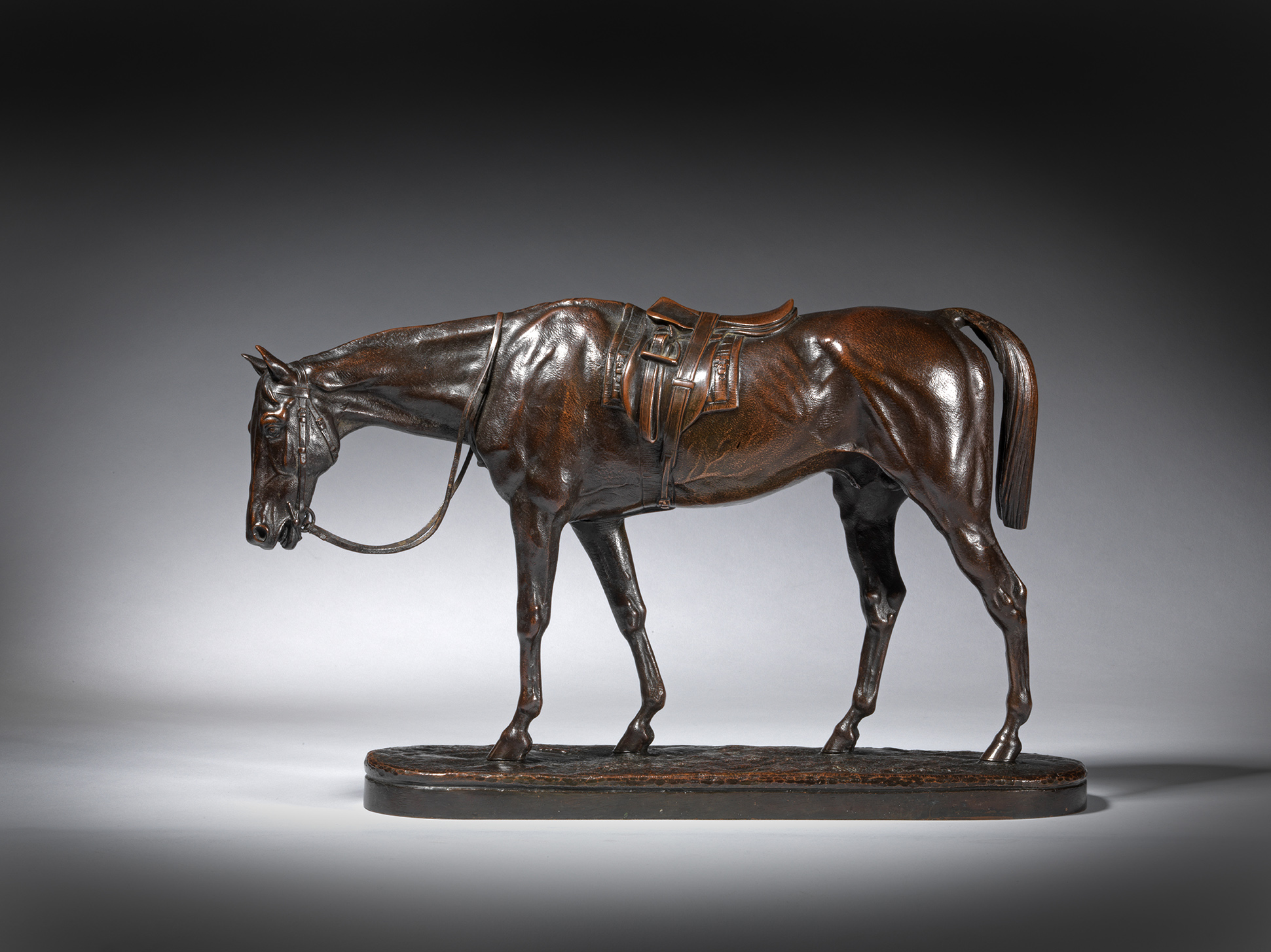 Saddled Race Horse, head lowered, c. 1870