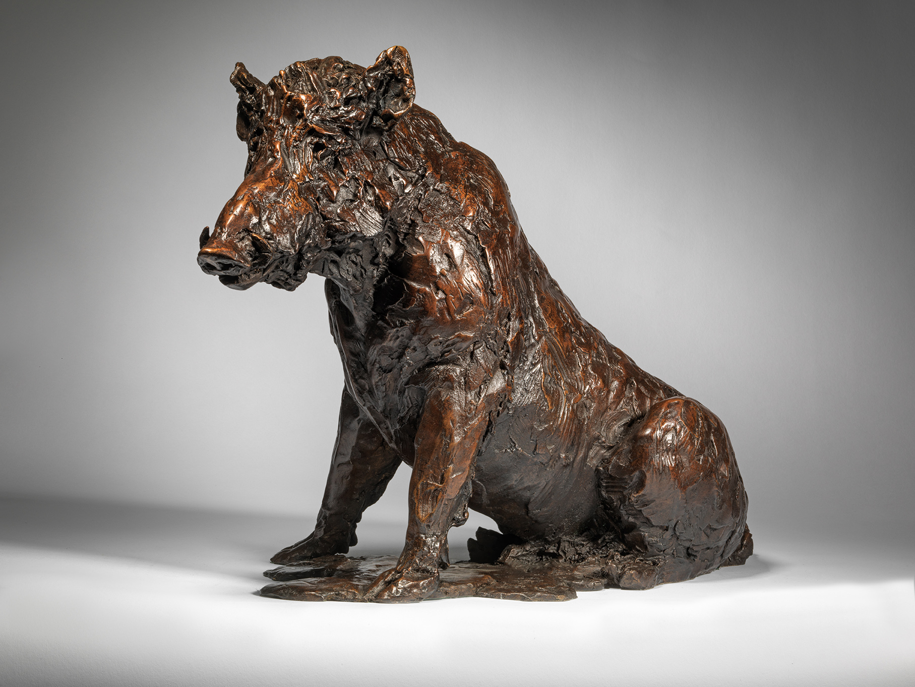 Wild Boar Seated – Large