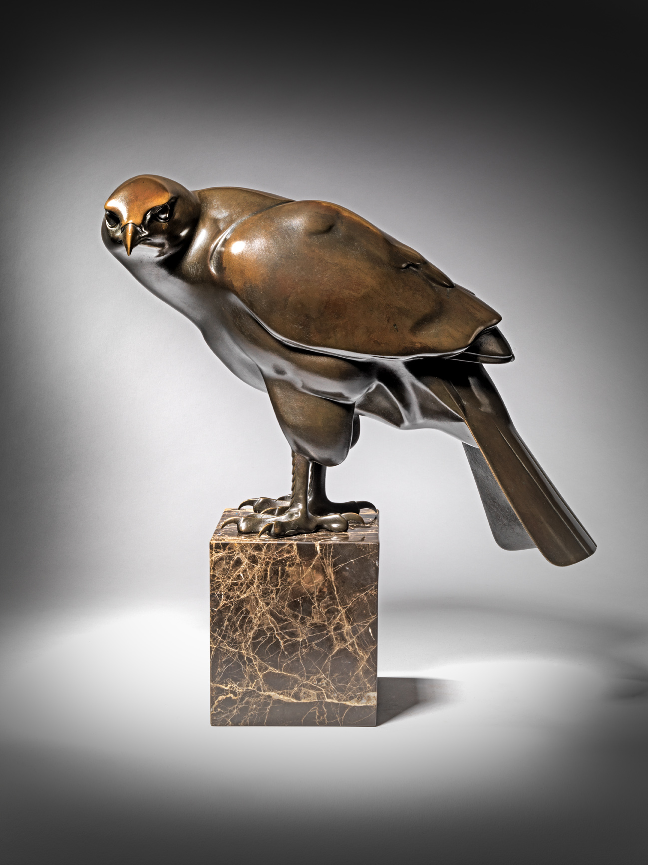 Hawk, c. 1920-1925