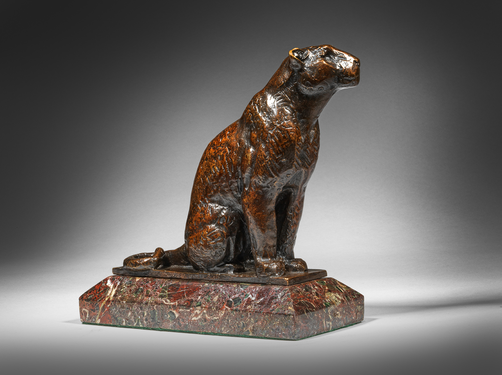 Seated Leopard, 1920