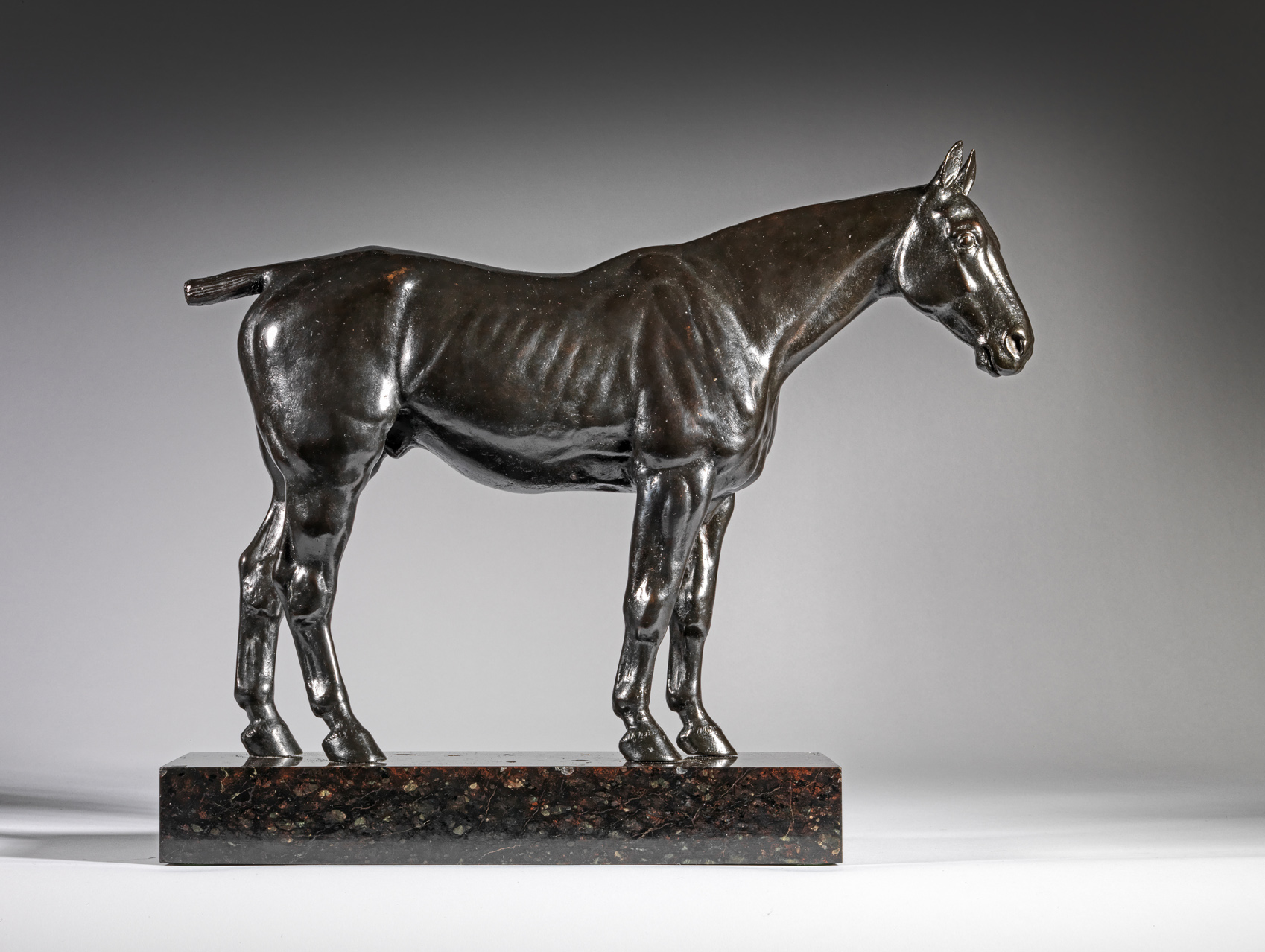 Polo Pony, Perfection, c. 1921-1924