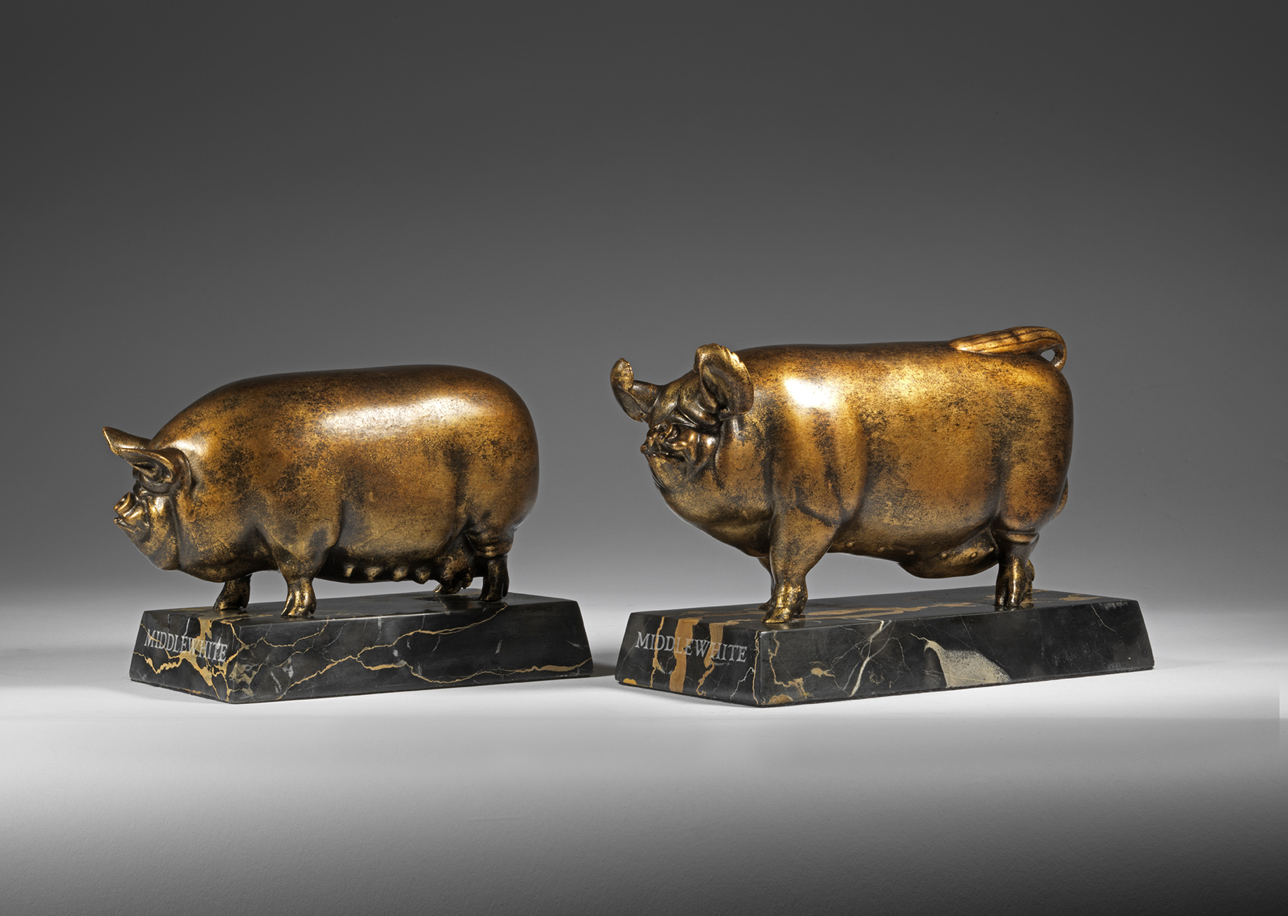 Middle White Boar and Sow, 1922-1924