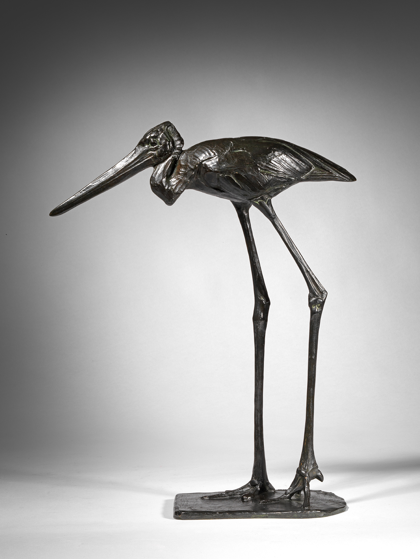 Walking Stork, Female, 1912