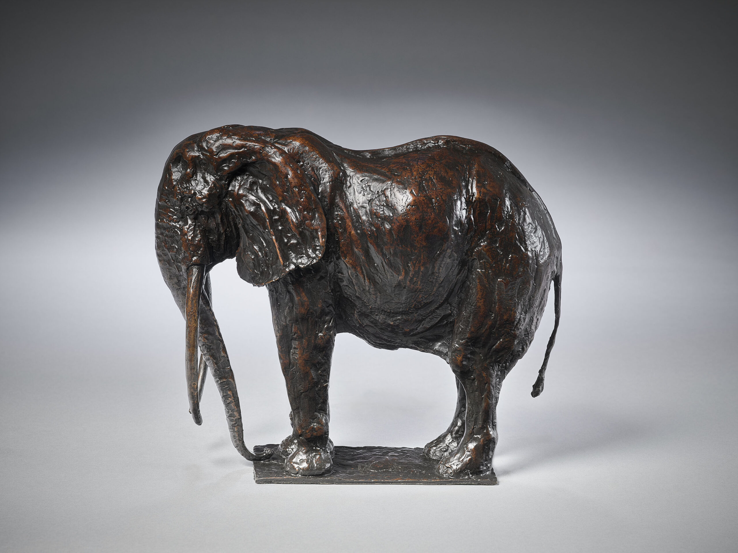 ‘Mzee’, African Elephant, Maquette