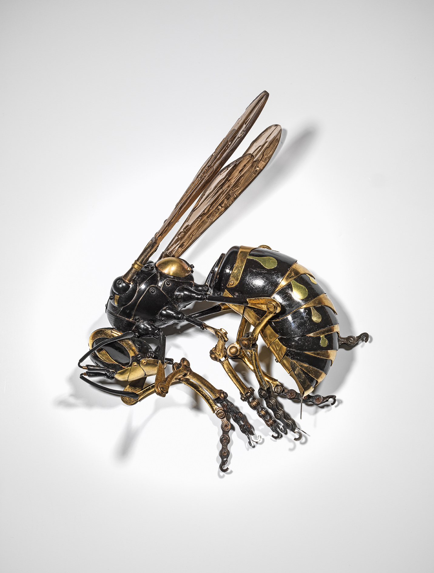 Dead Wasp (Une Guêpe morte)