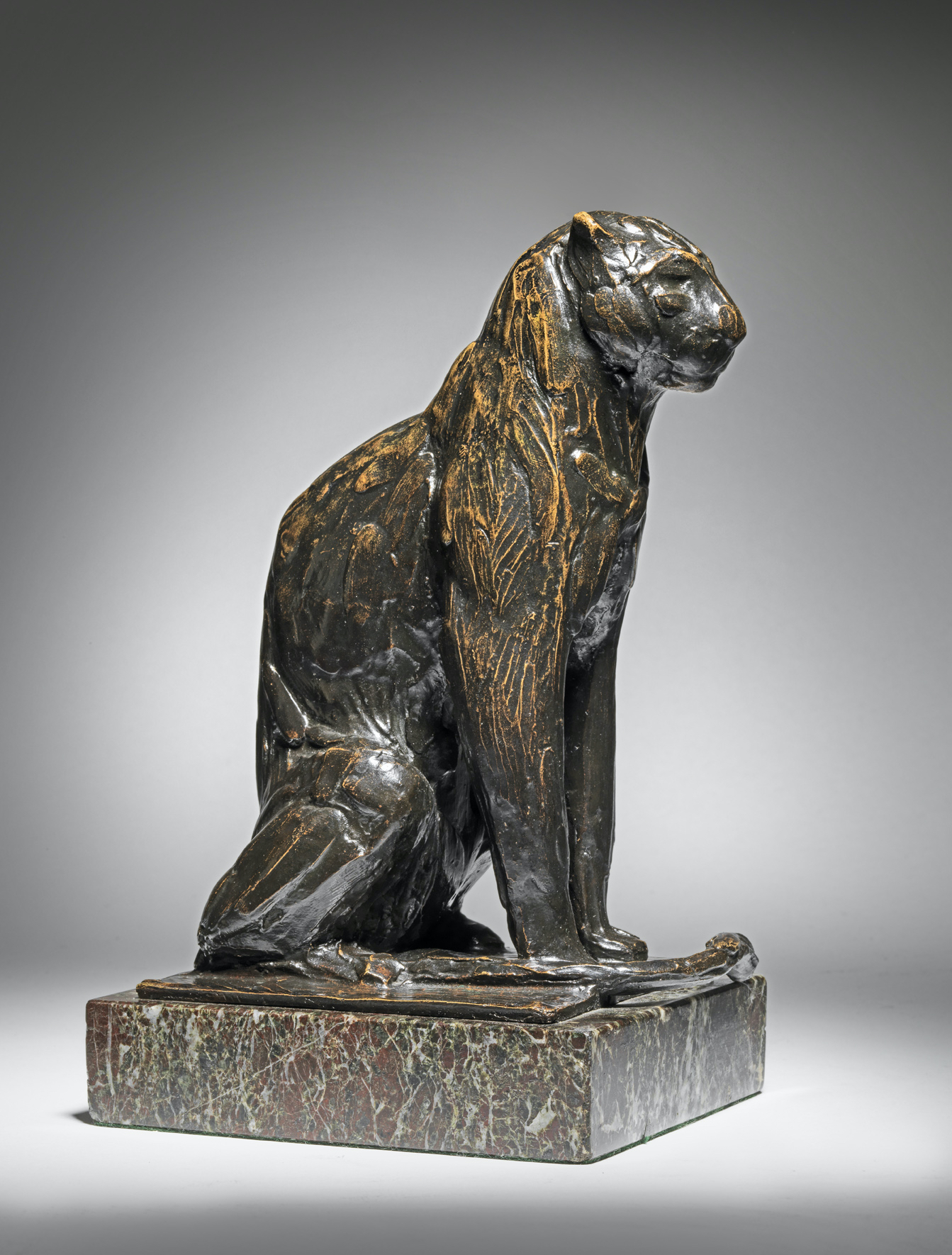 Seated Leopard, 1912