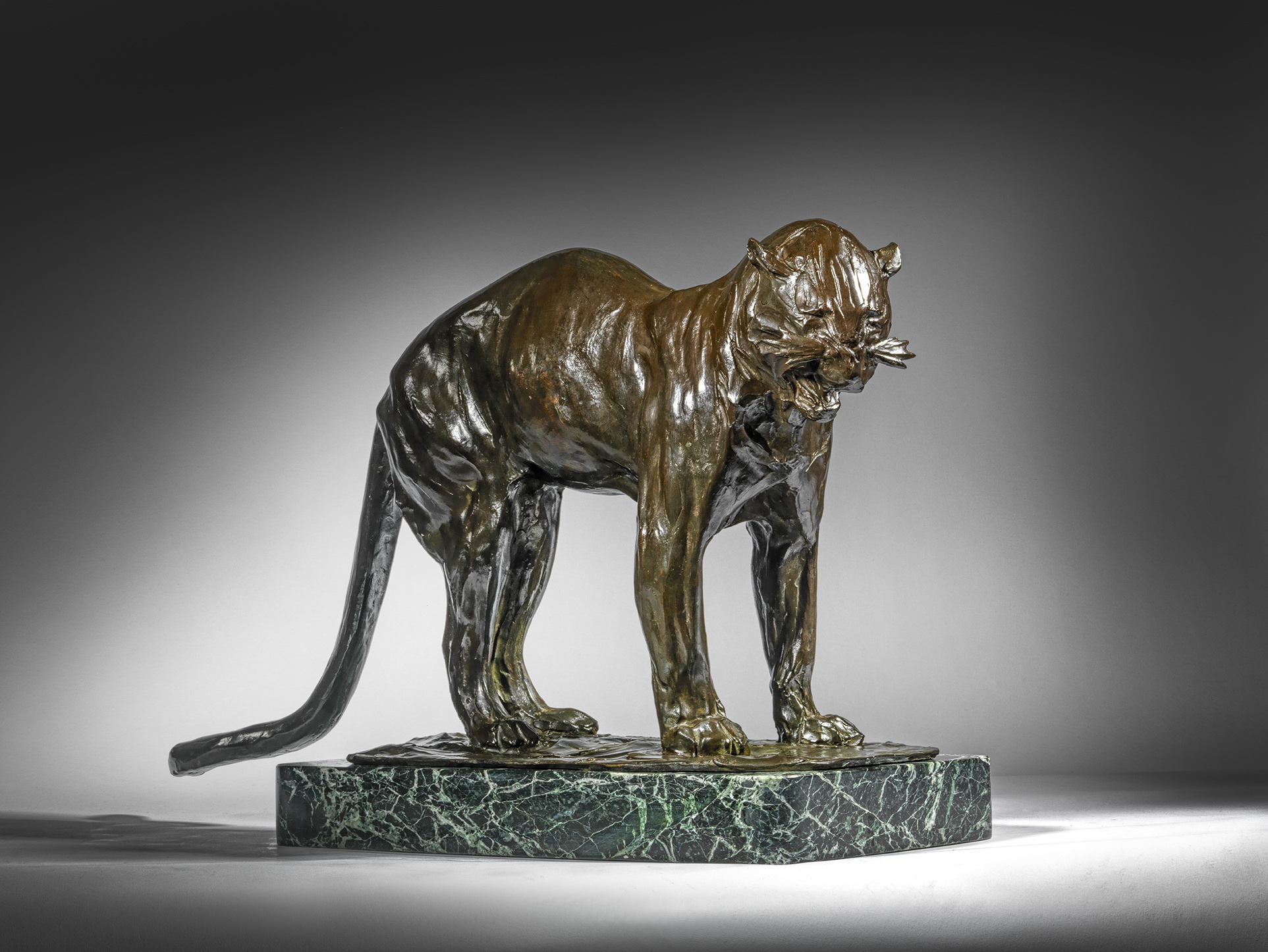 Growling Panther, 1907