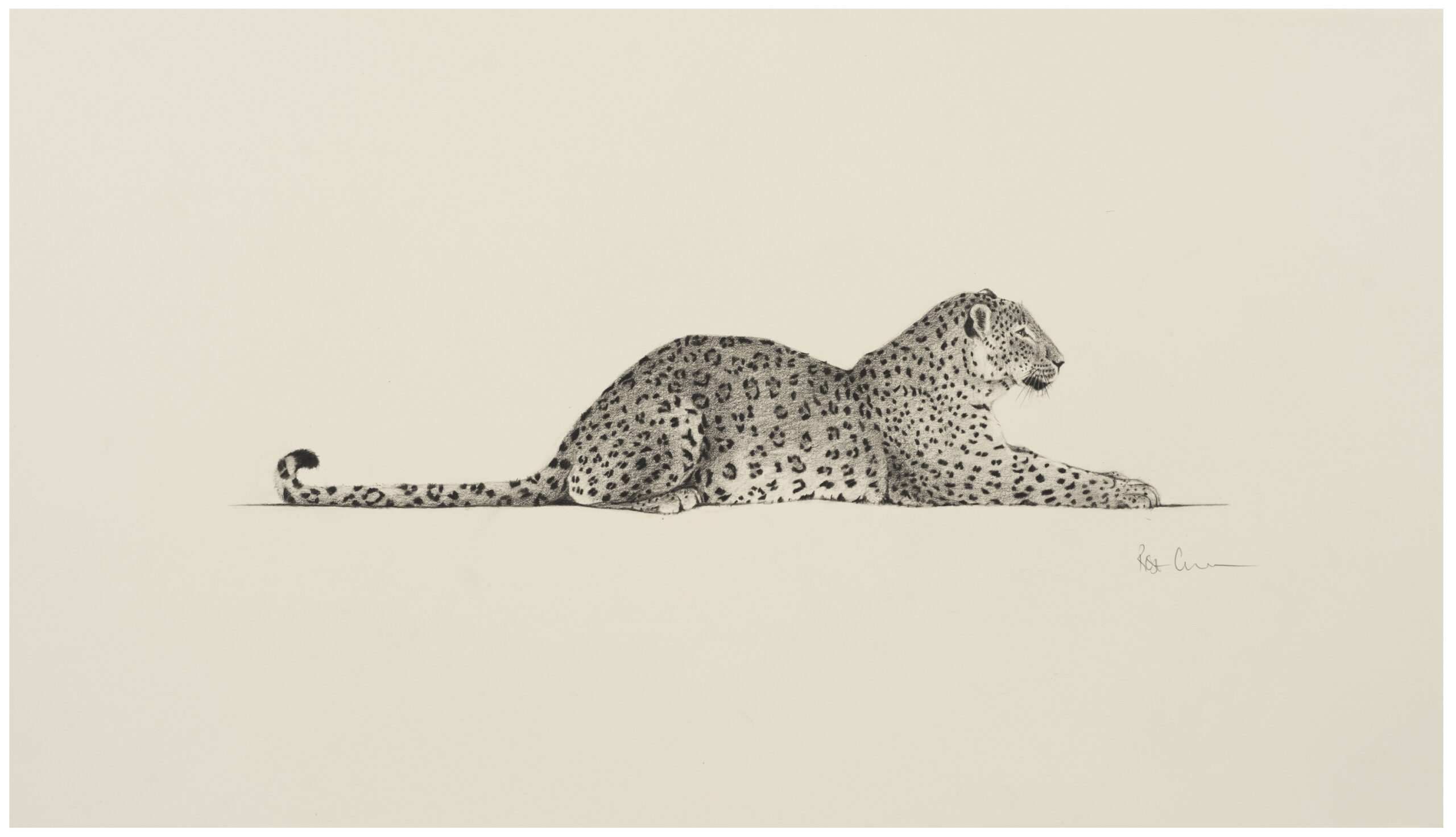 Persian Leopard