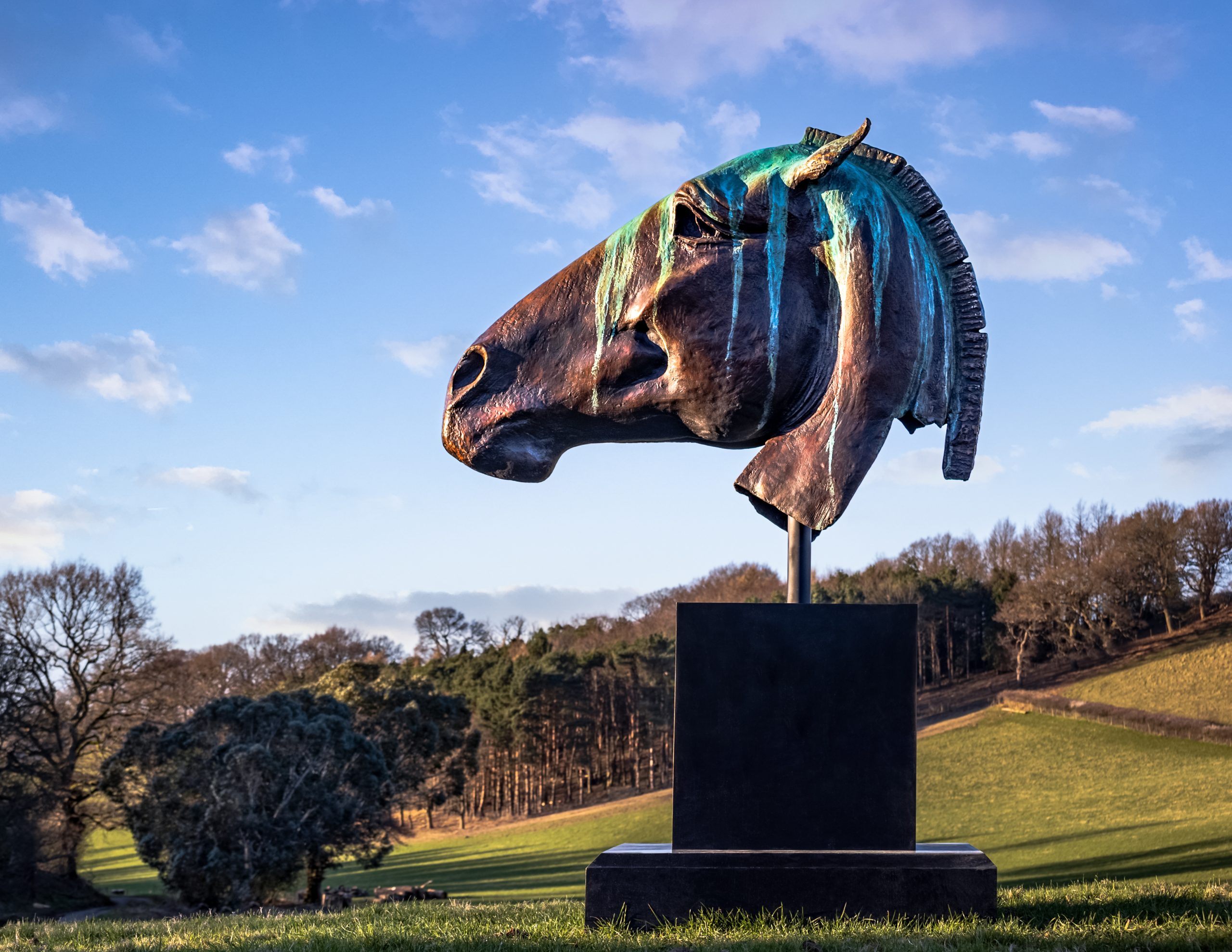 Trojan Head, Bronze, 2018