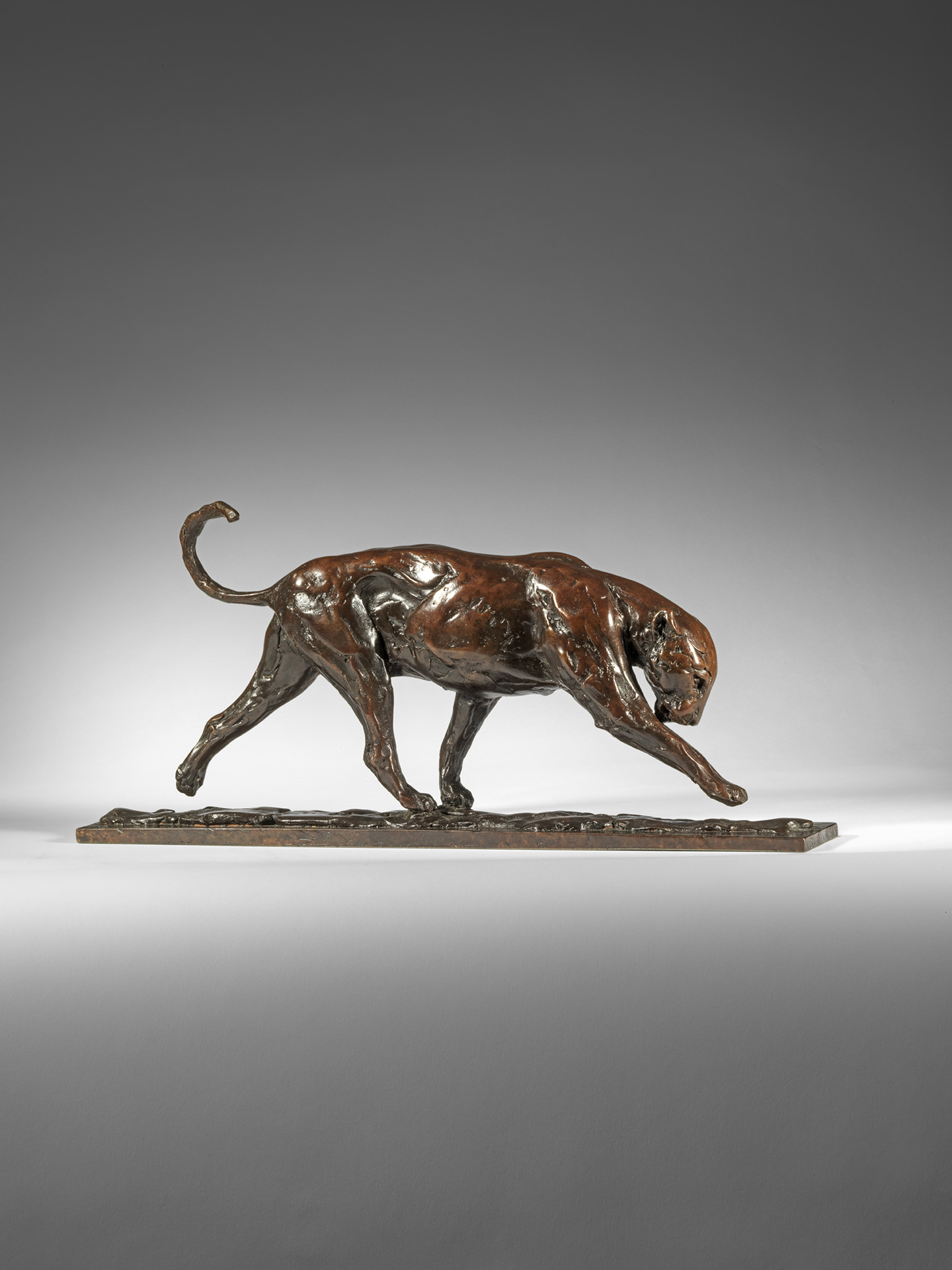 Walking Jaguar, 2025