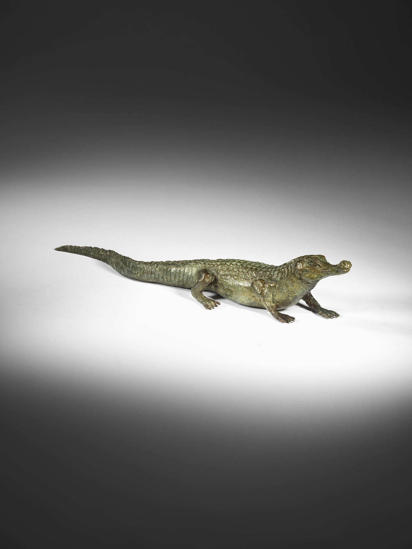 Yacare Caiman, 2025