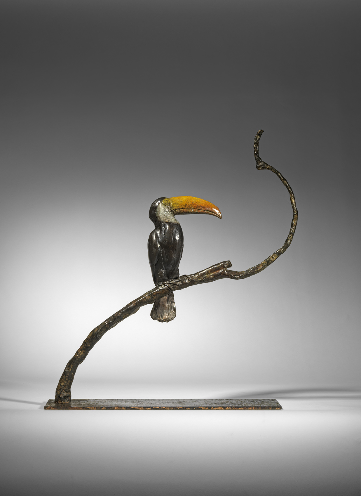 Toco Toucan on a Branch, 2025
