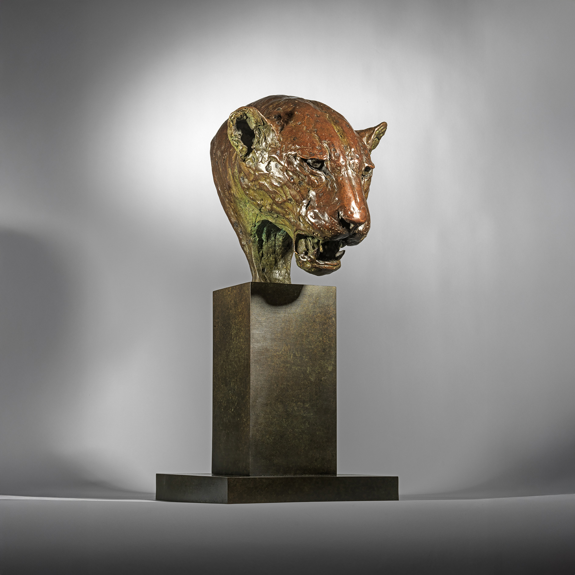 Life Size Jaguar Bust ‘Madrosa’, 2025