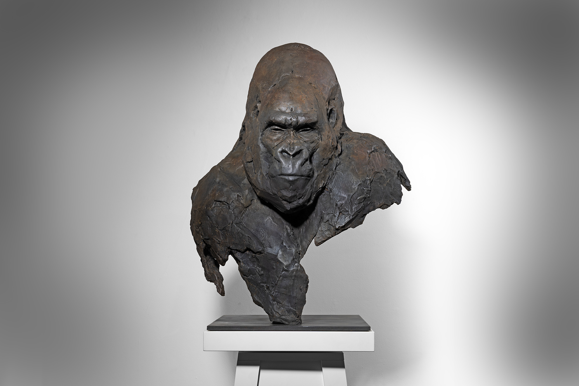 Gorilla Bust, Lifesize
