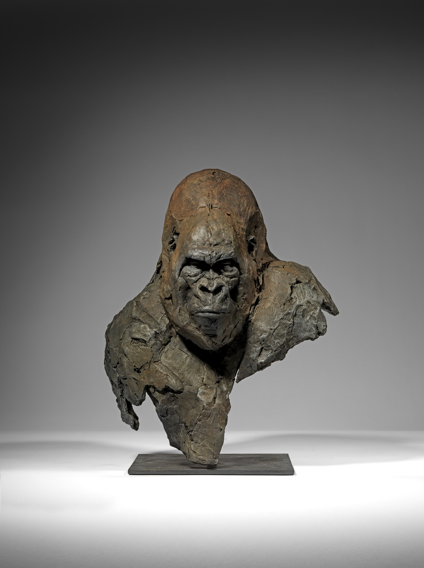 Gorilla Bust, Maquette
