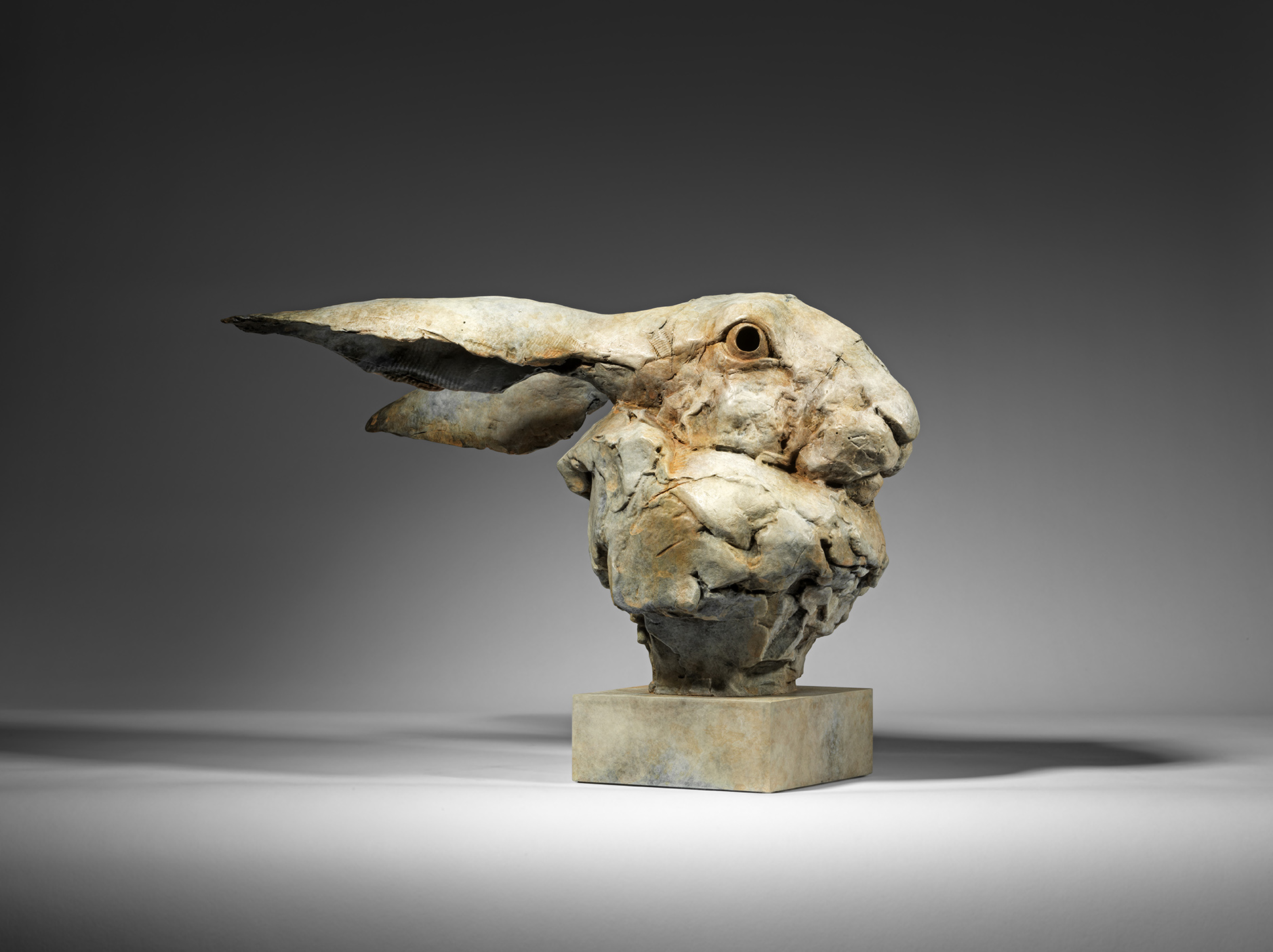 Large Hare Head, Study II