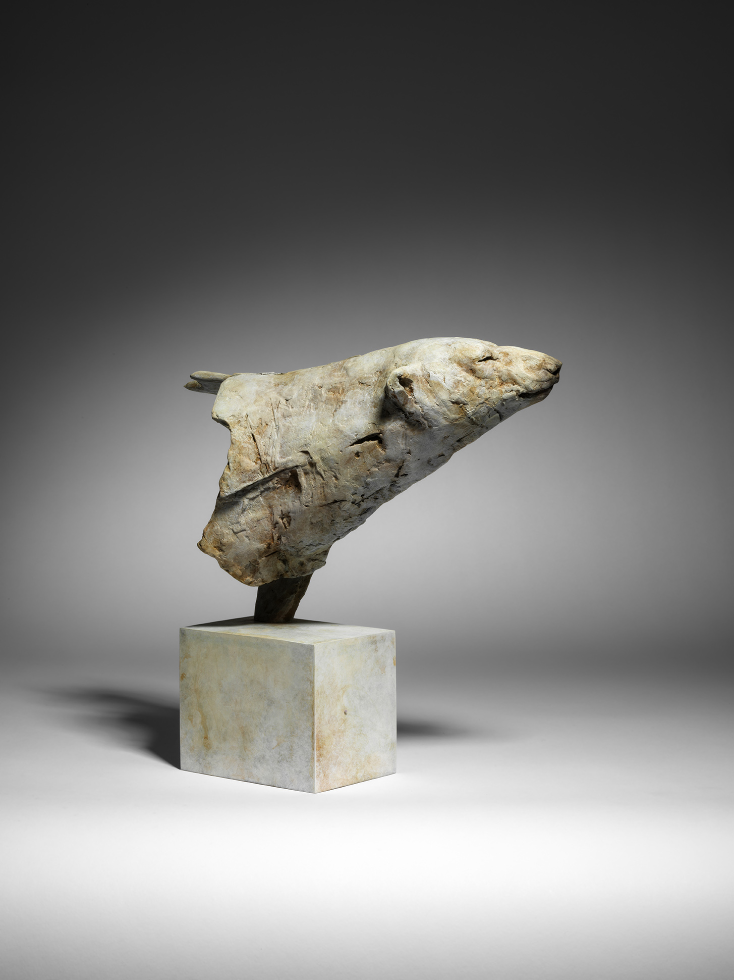 Arctic Bear, Fragment