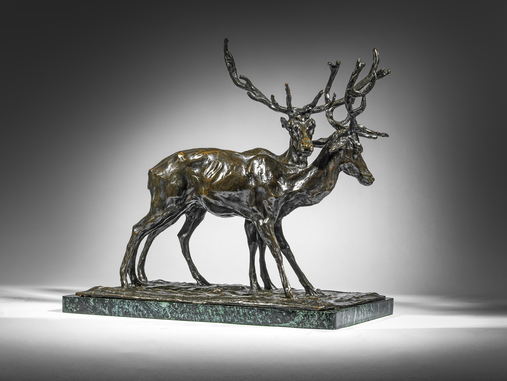 Two Stags, 1904