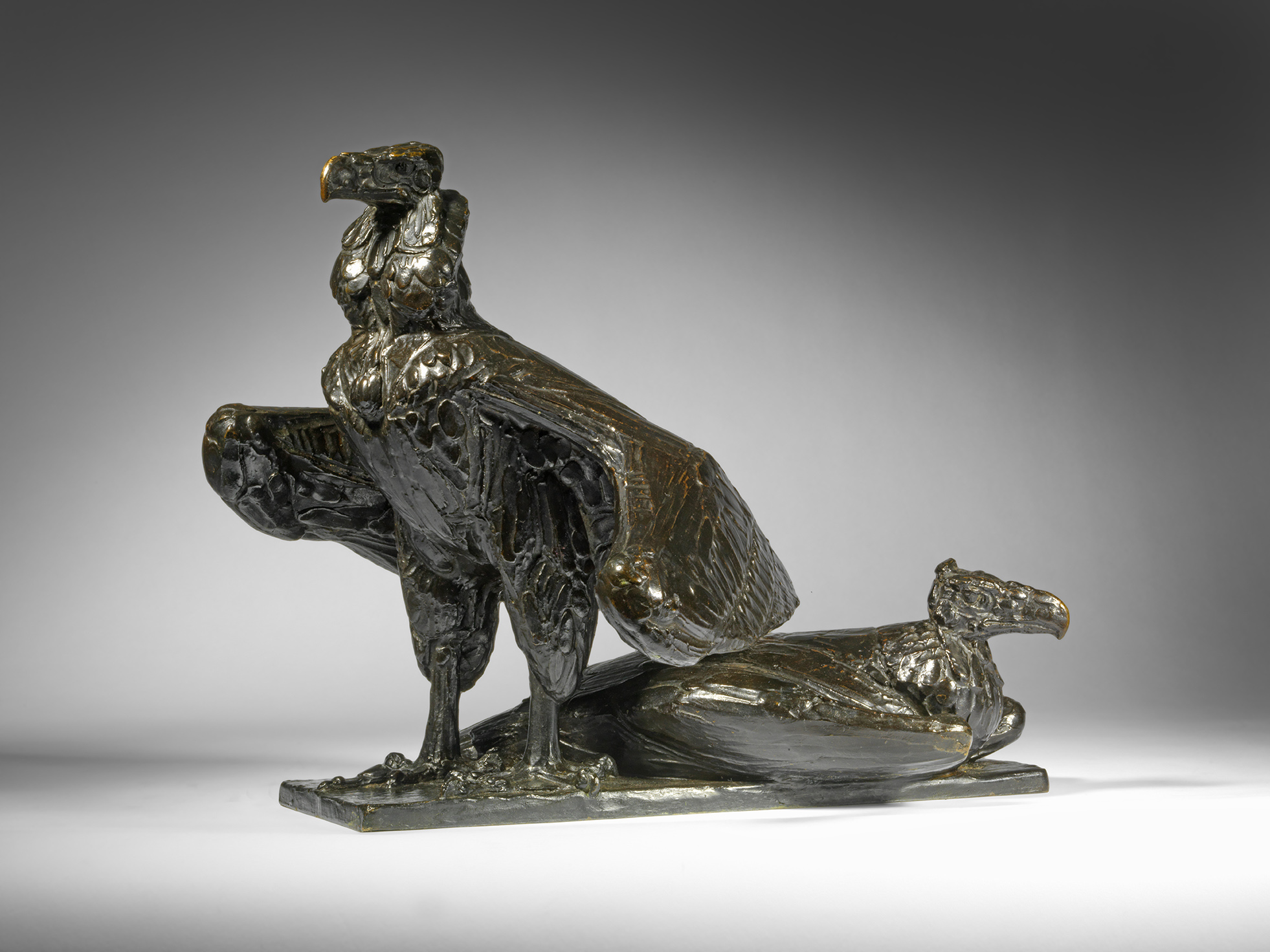 Two Lappet Faced Vultures, 1913