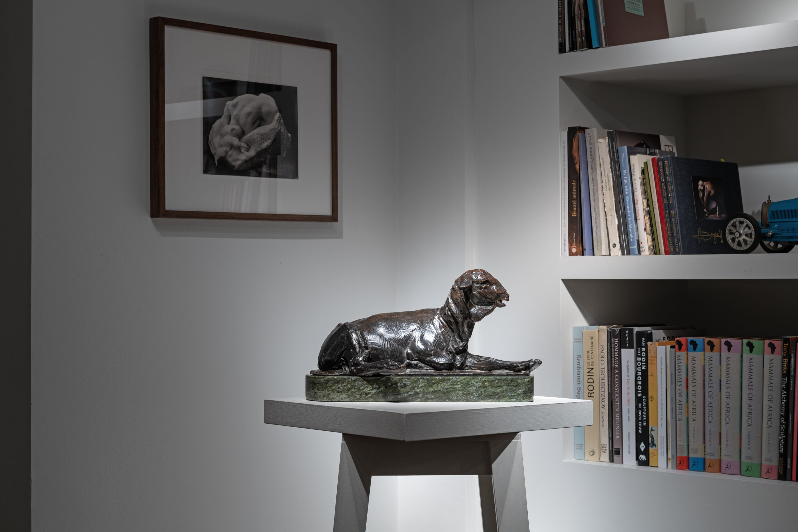 Merino Sheep, c.1912