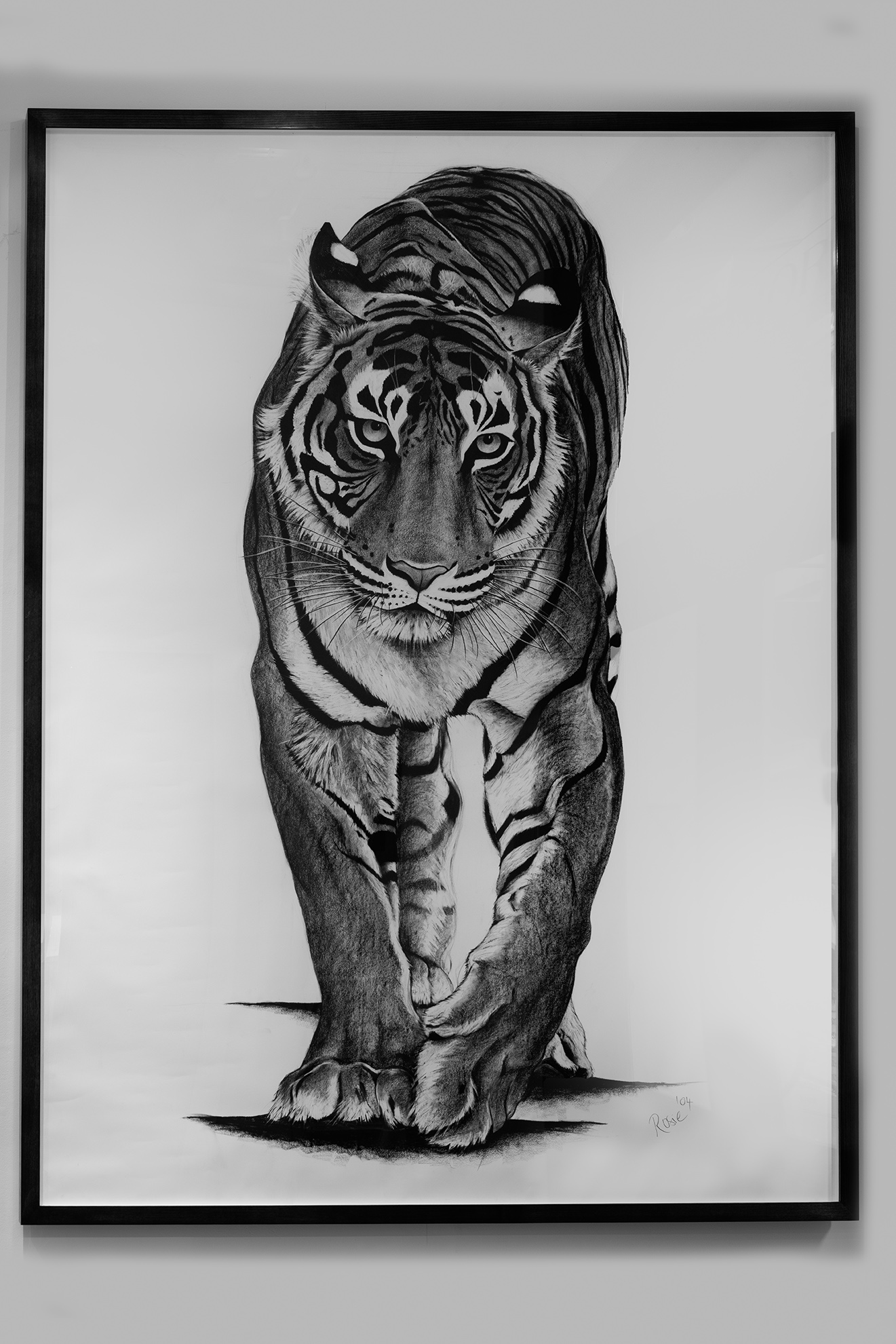 Tiger Walking, ‘Machali’