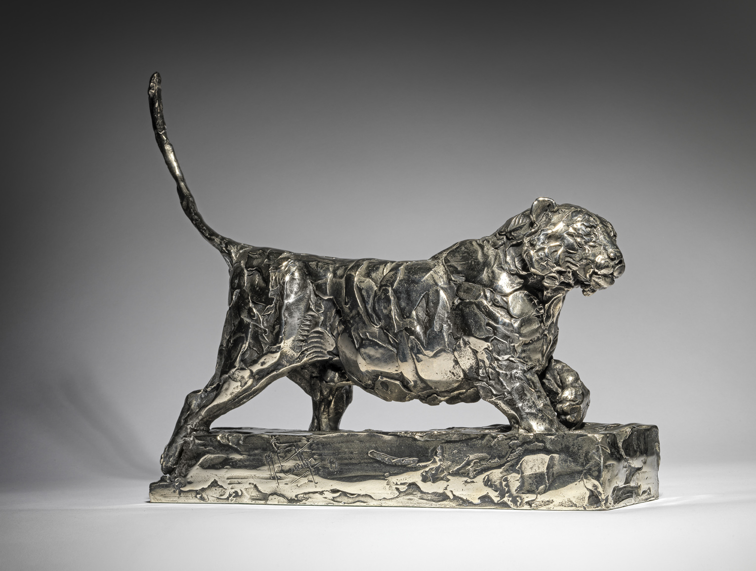 Amur Tiger in Snow Drift