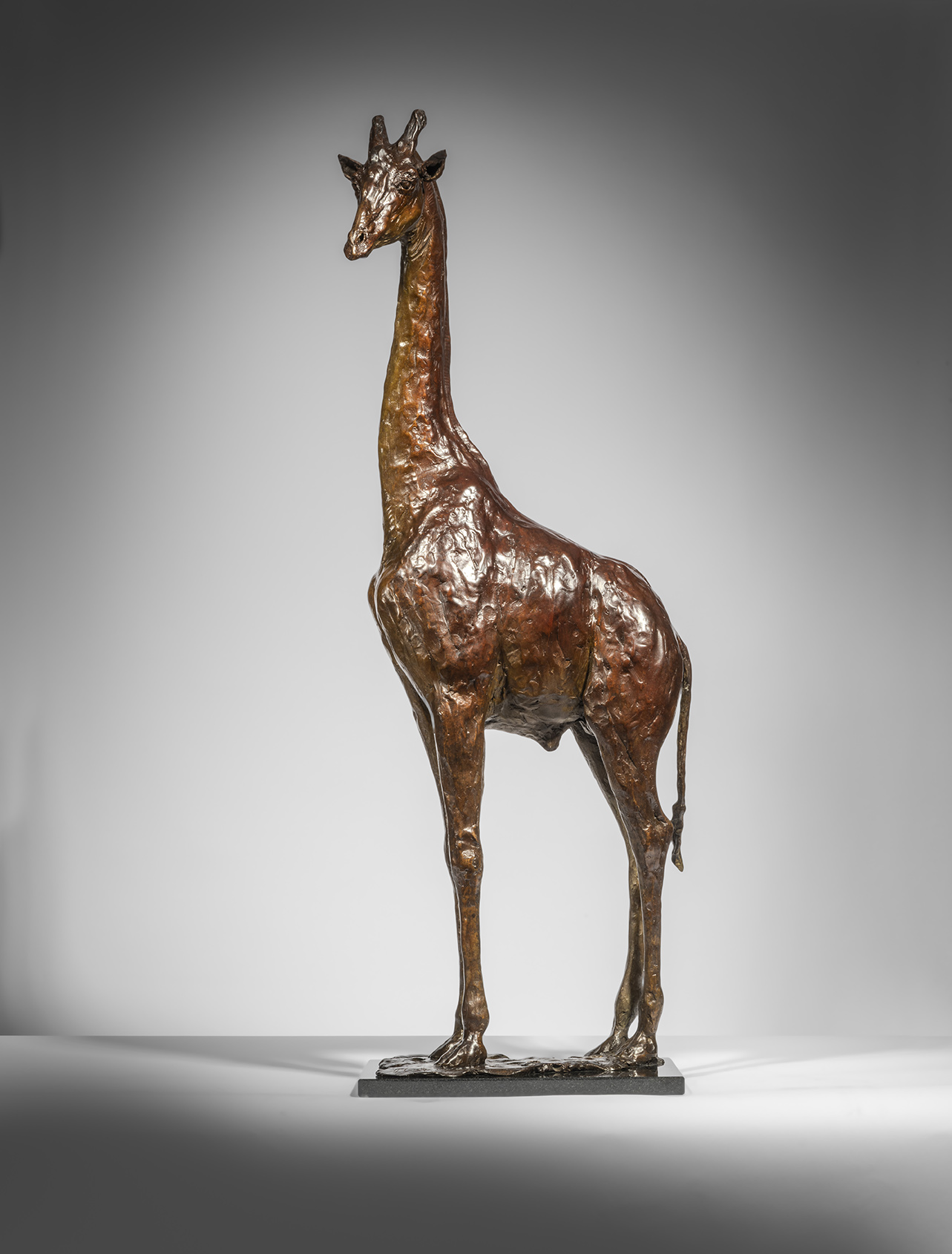 Giraffe Standing, 2026